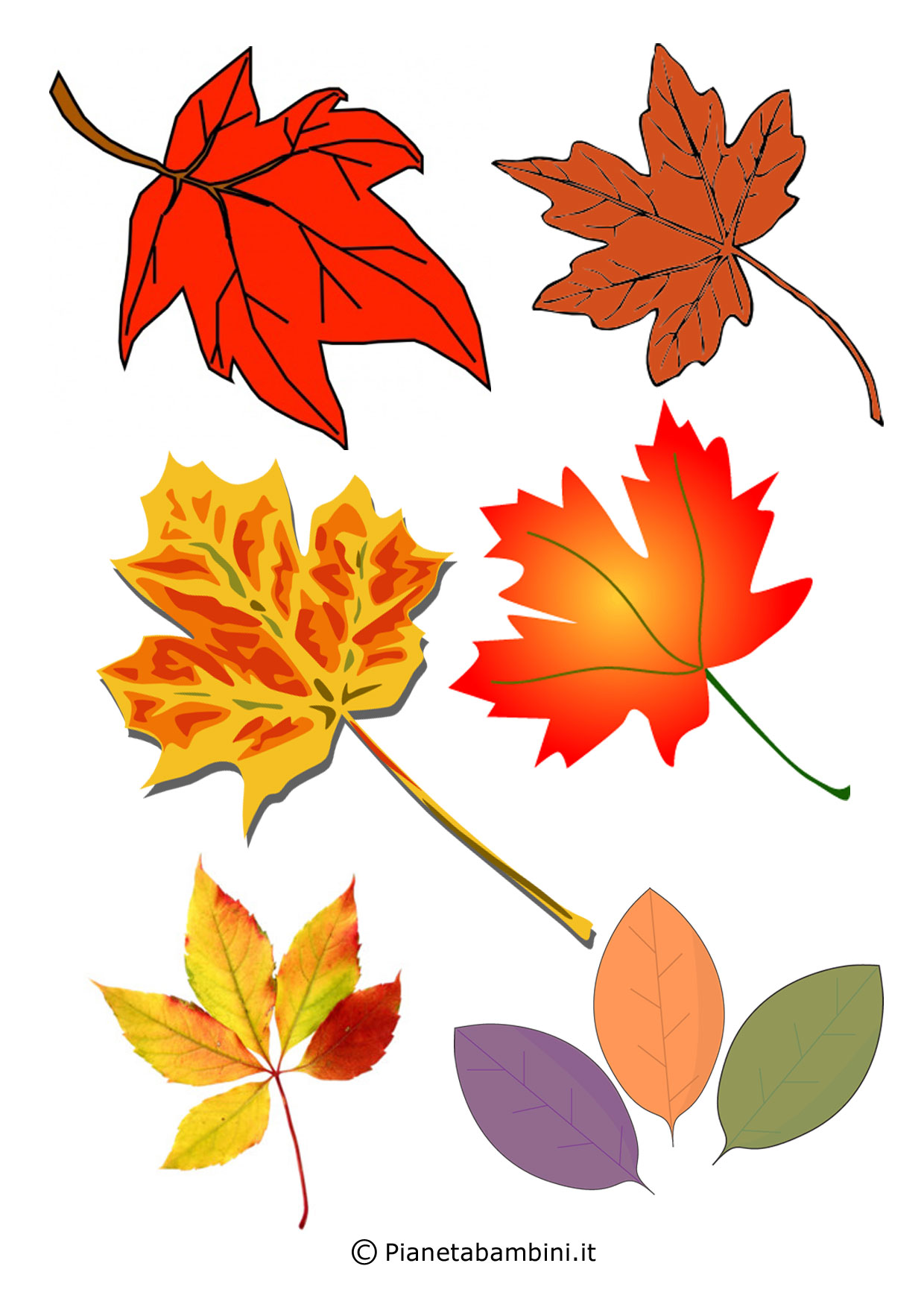 Disegni Di Foglie Autunnali Da Colorare