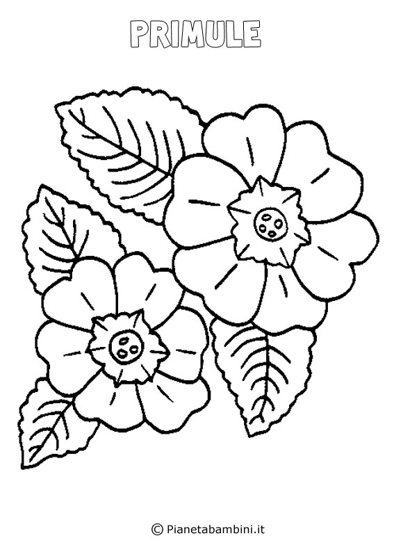 Disegni di fiori di primavera da stampare e colorare for Immagini sulla primavera da stampare e colorare