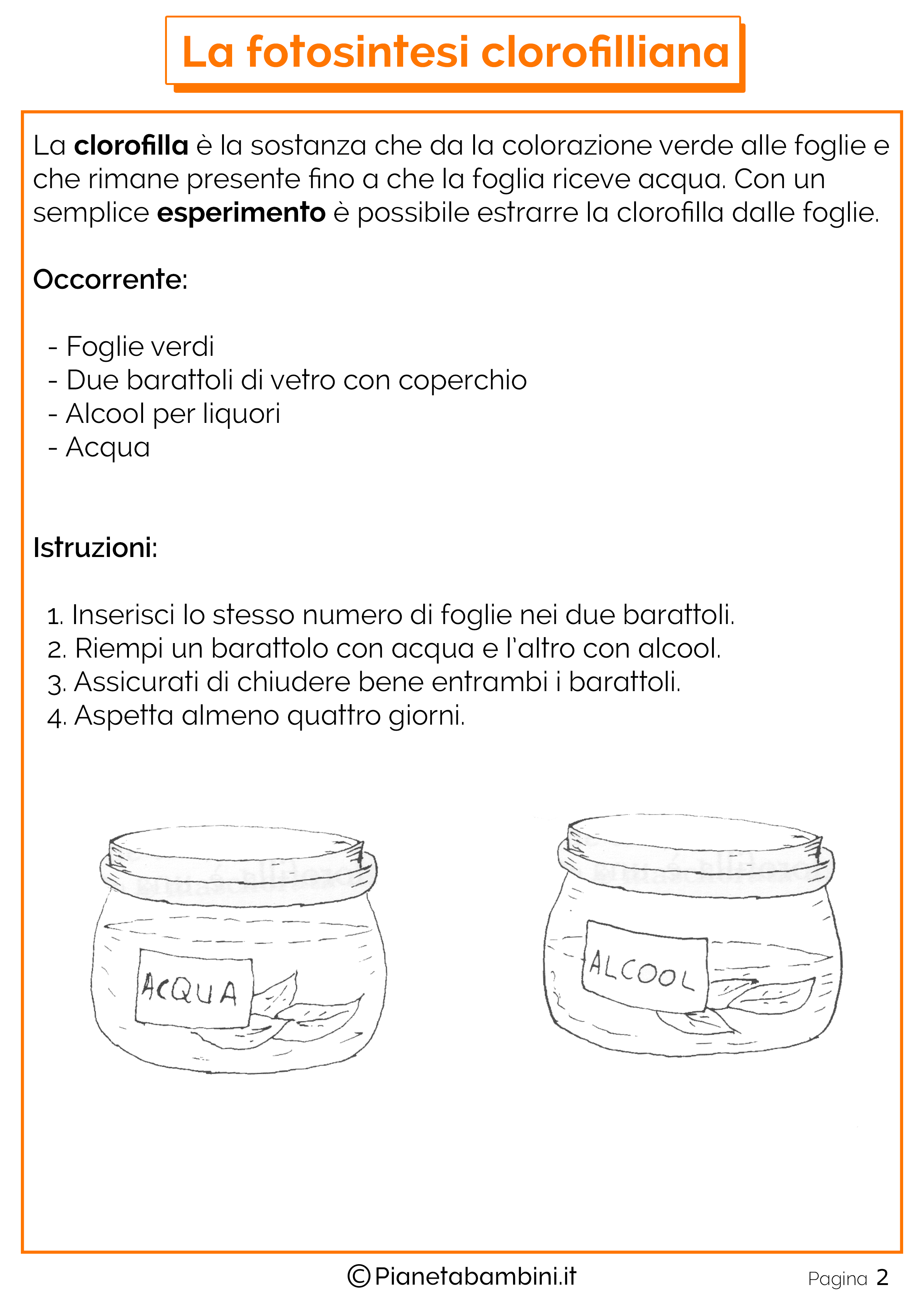 Fotosintesi Clorofilliana Pdf