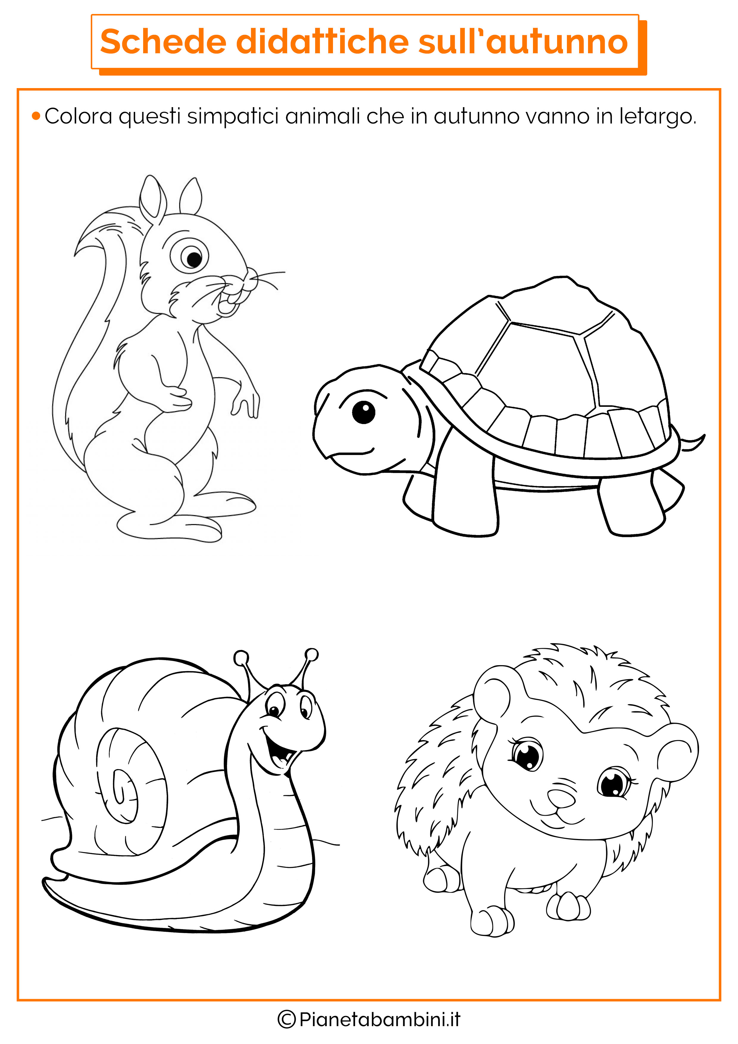 Disegni Da Colorare Degli Animali Che Vanno In Letargo