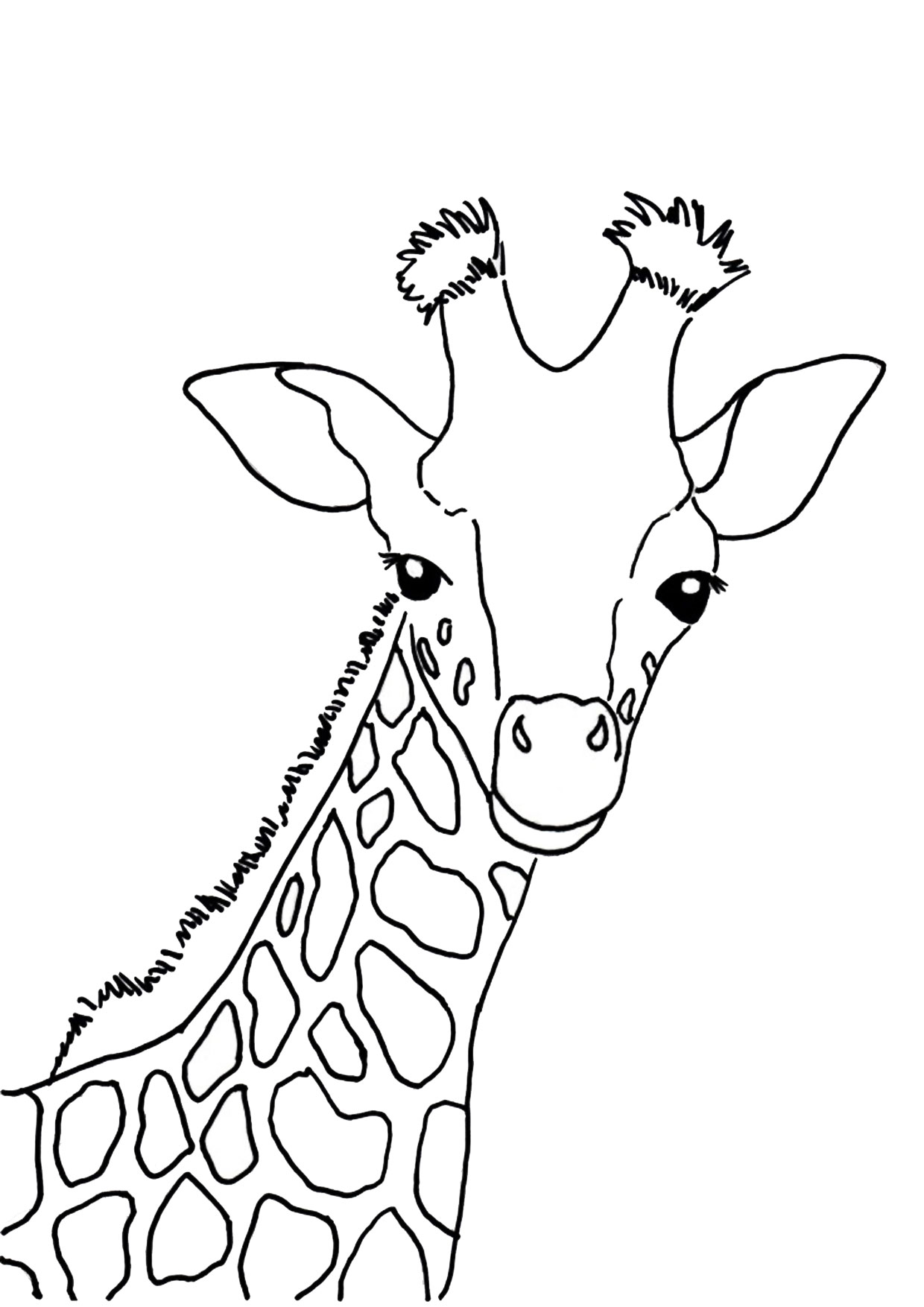 30 Disegni di Giraffe da Colorare