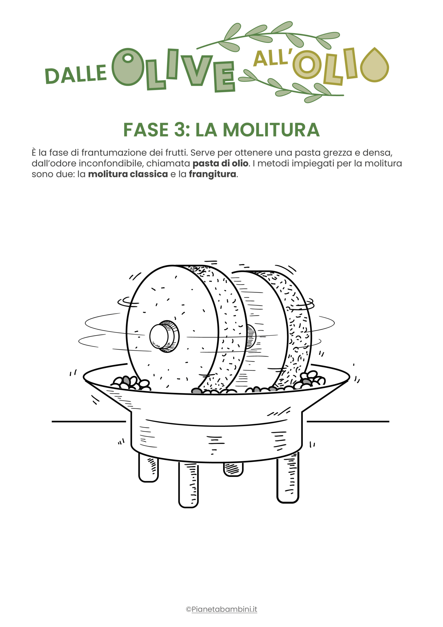 Dalle Olive All Olio Disegni Delle Fasi Da Colorare Pianetabambini It
