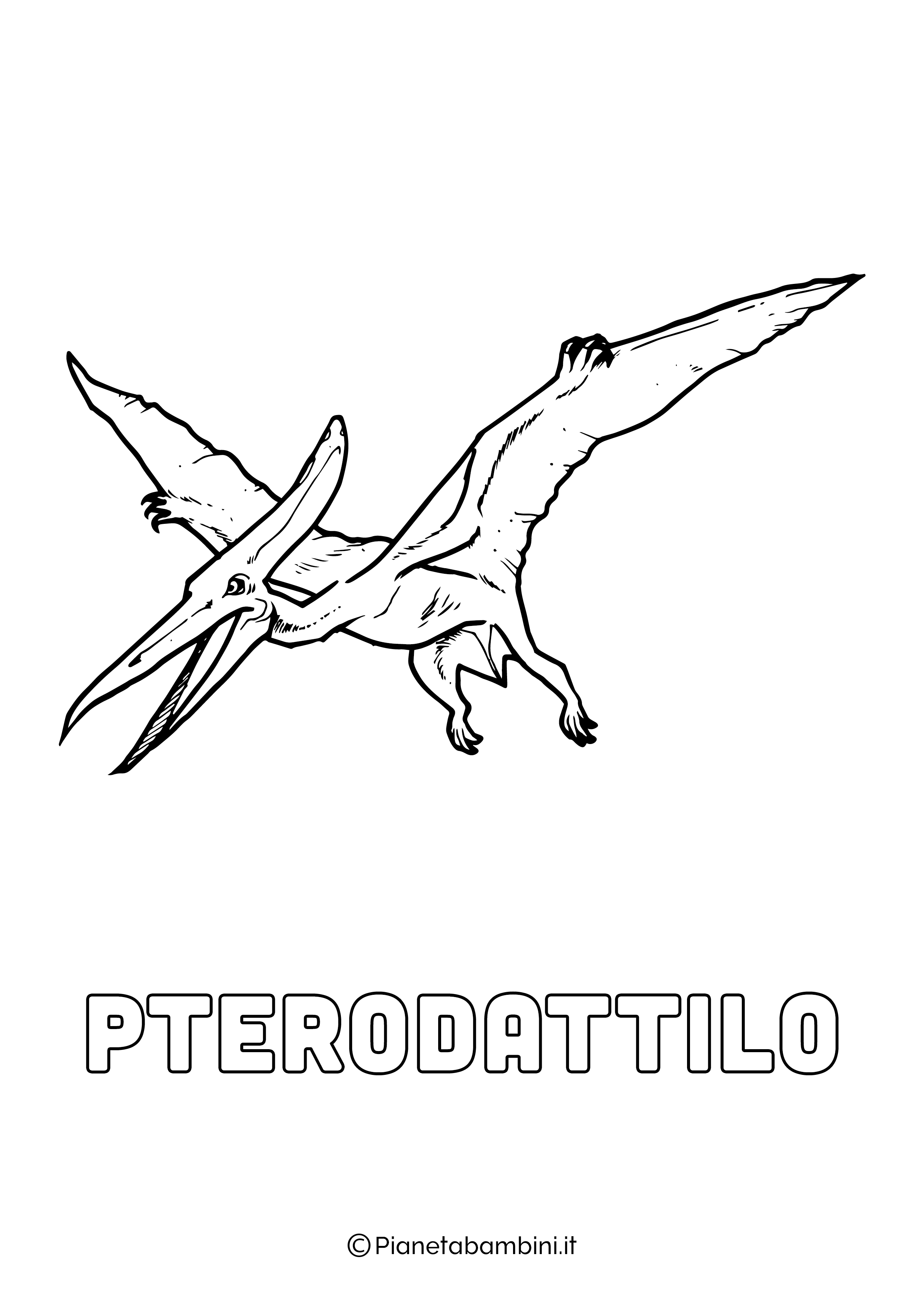 Dinosauro Pterodattilo da colorare