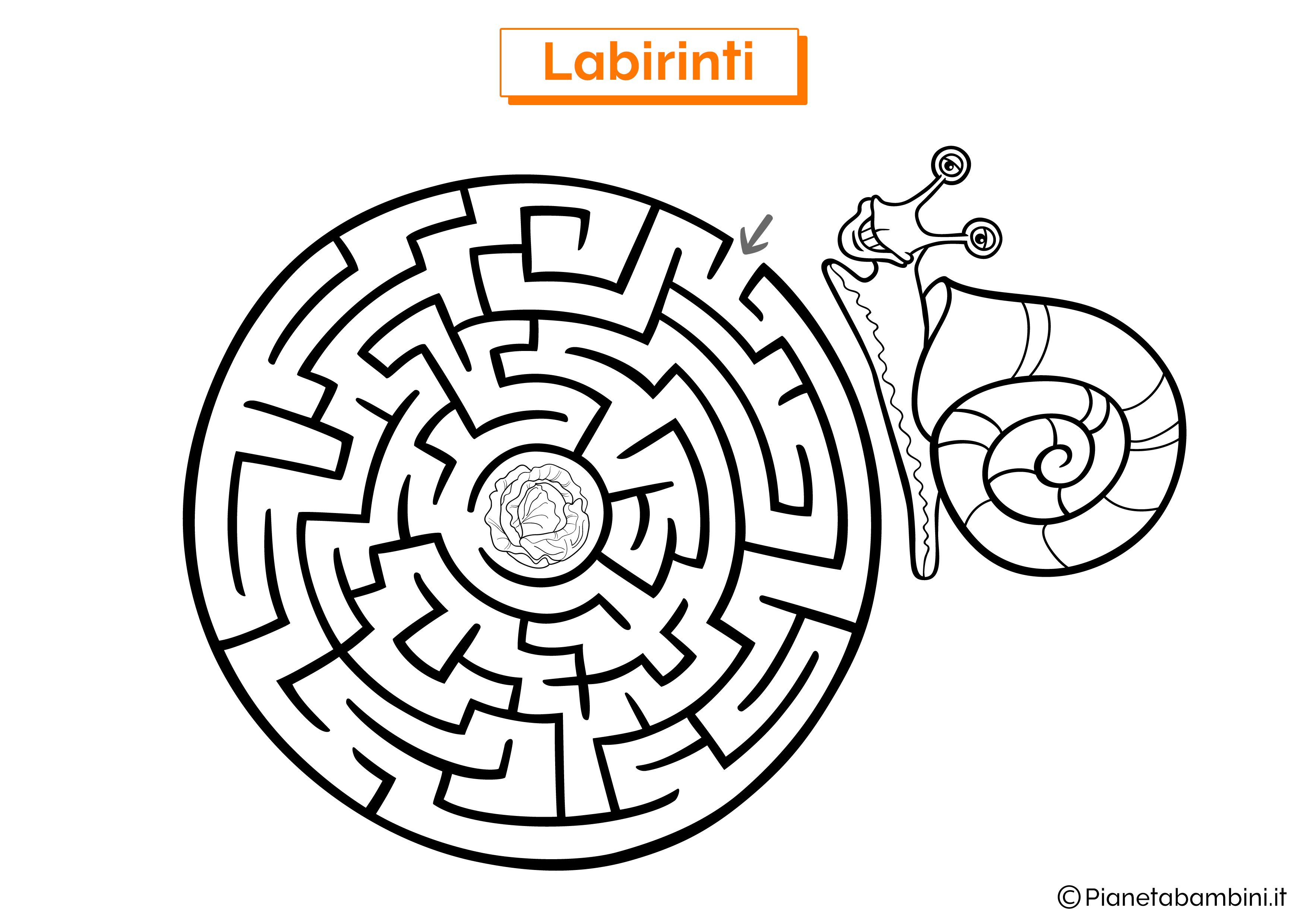 Labirinto con chiocciola e lattuga da stampare