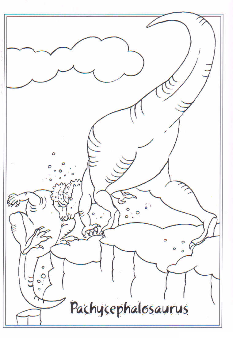 Pachycephalosaurus: disegno da colorare
