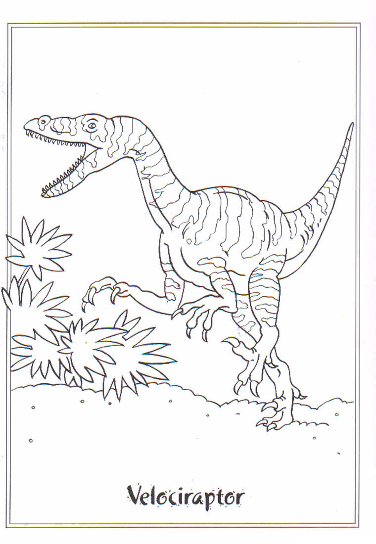 Velociraptor: disegno da colorare