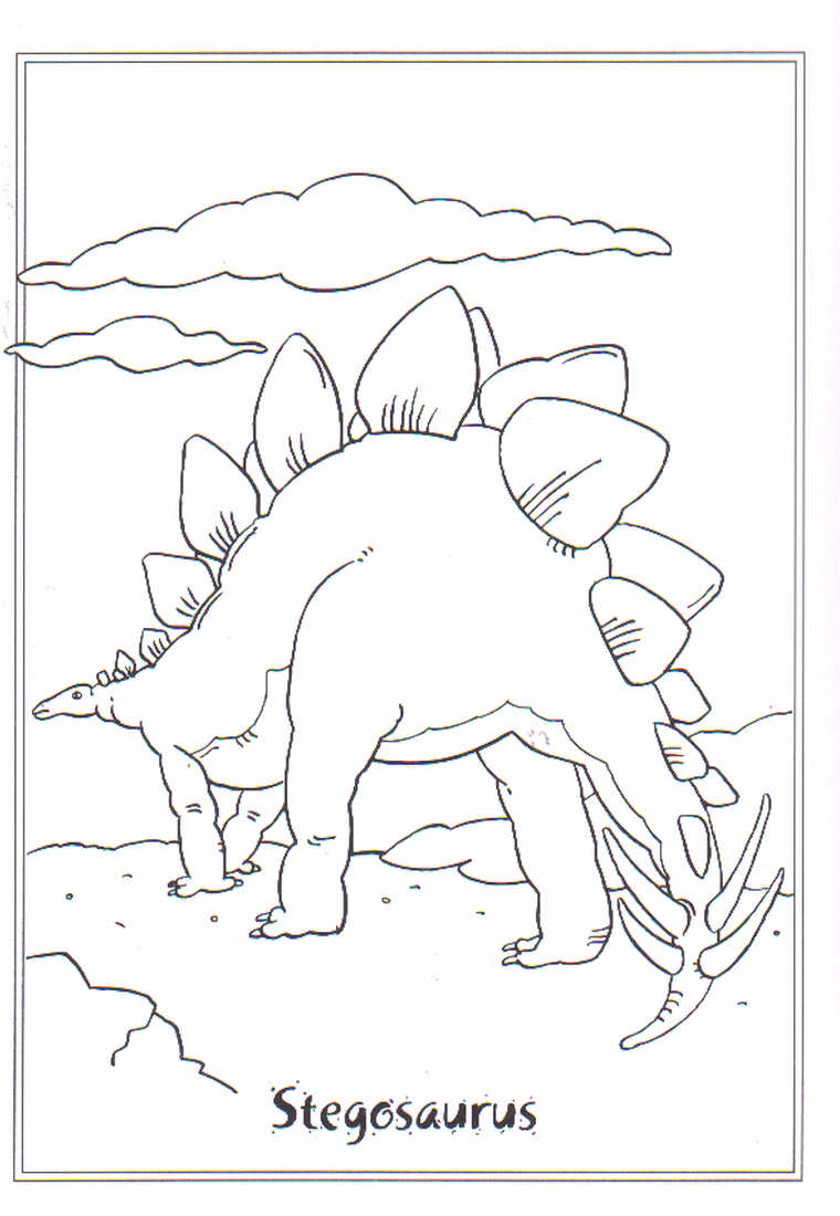 Stegosaurus: disegno da colorare