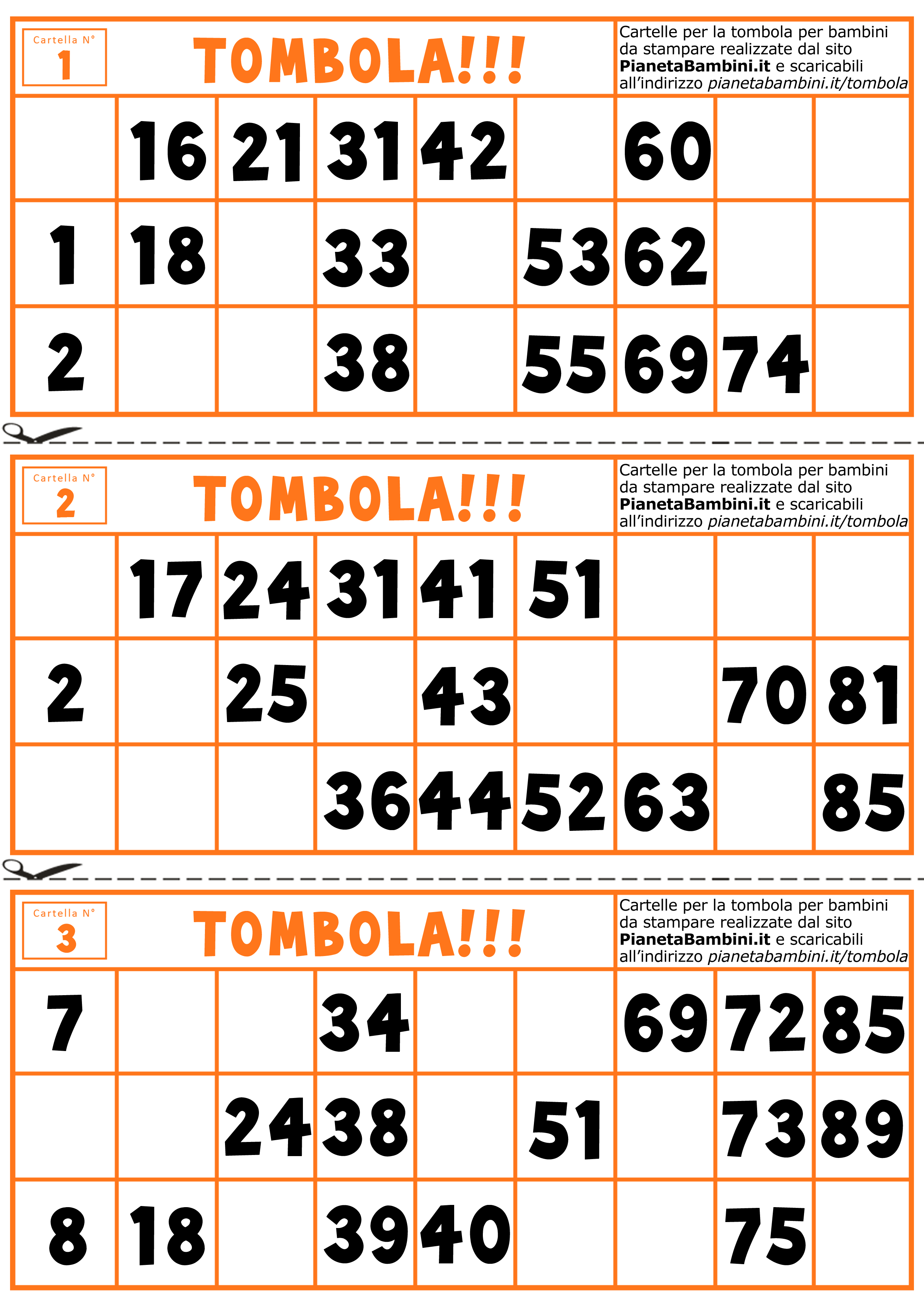 Tombolone Automatico Tombola CLASSICA Bingo 48 Cartelle Gioco