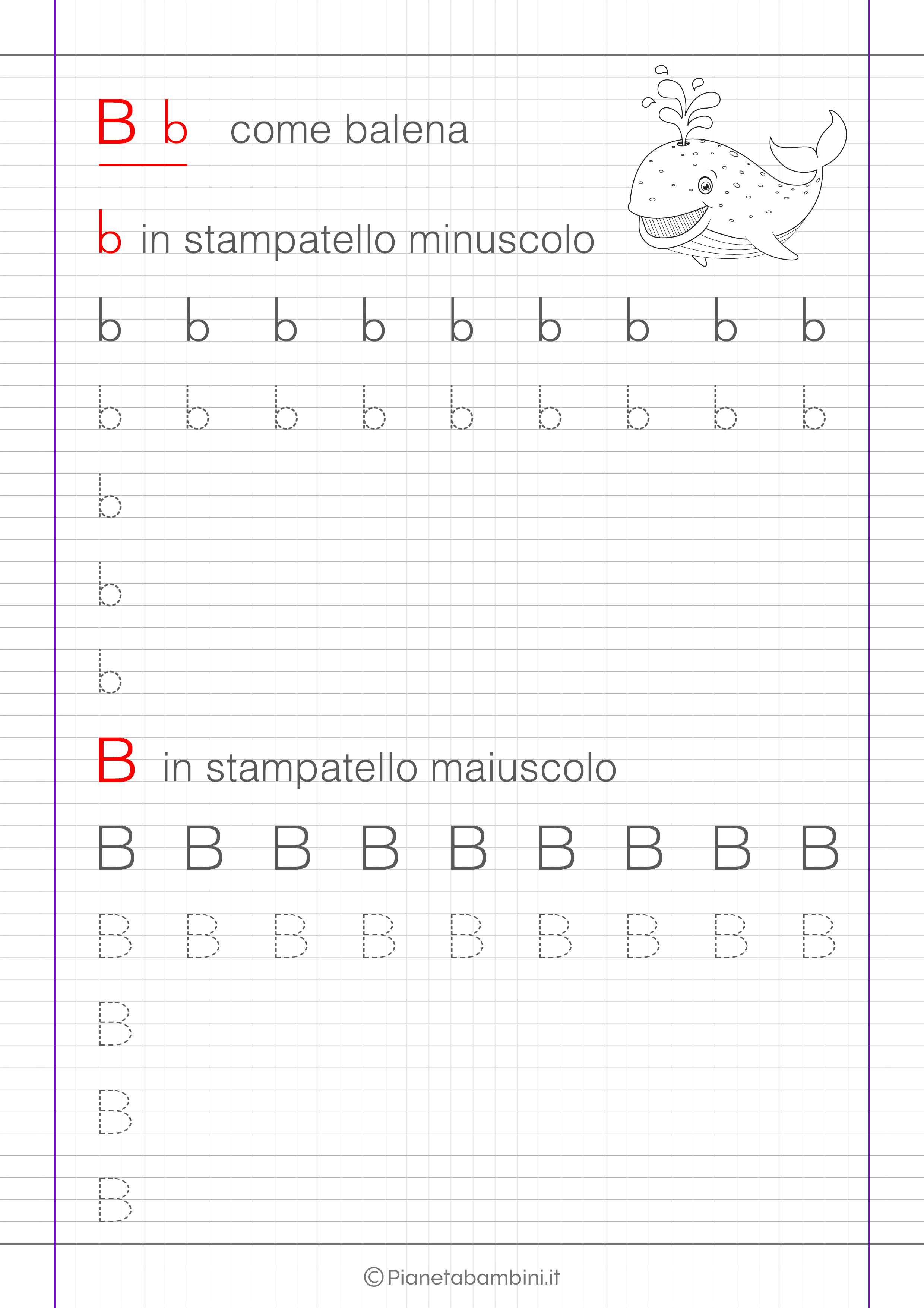 Scheda di pregrafismo lettera B in stampatello