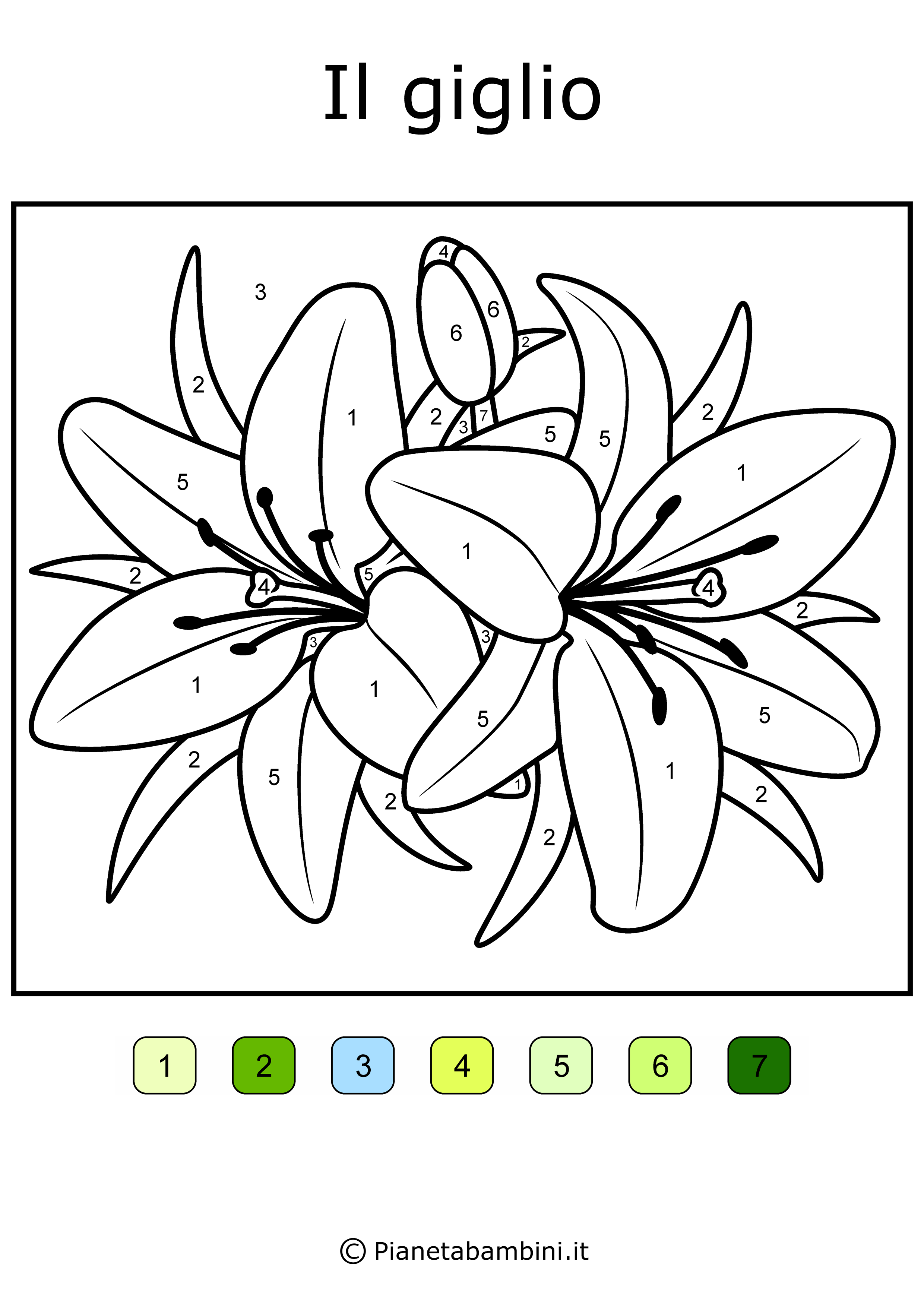 Conta e Colora: 48 Disegni da Colorare in Base ai Numeri ...