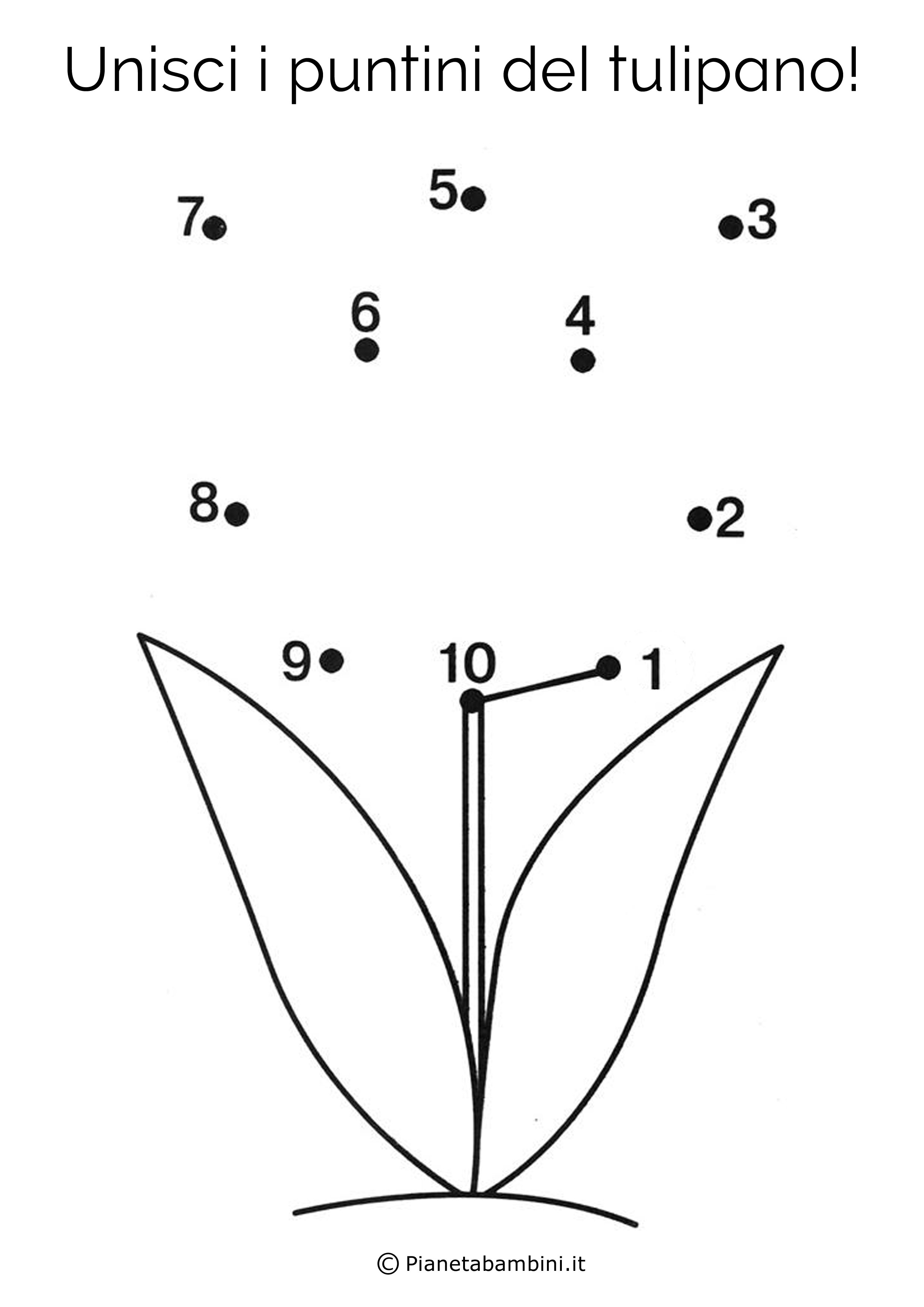 Disegno unisci i puntini tulipano