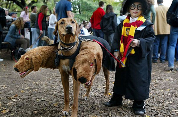 Costume di Halloween da Harry Potter e Fluffy
