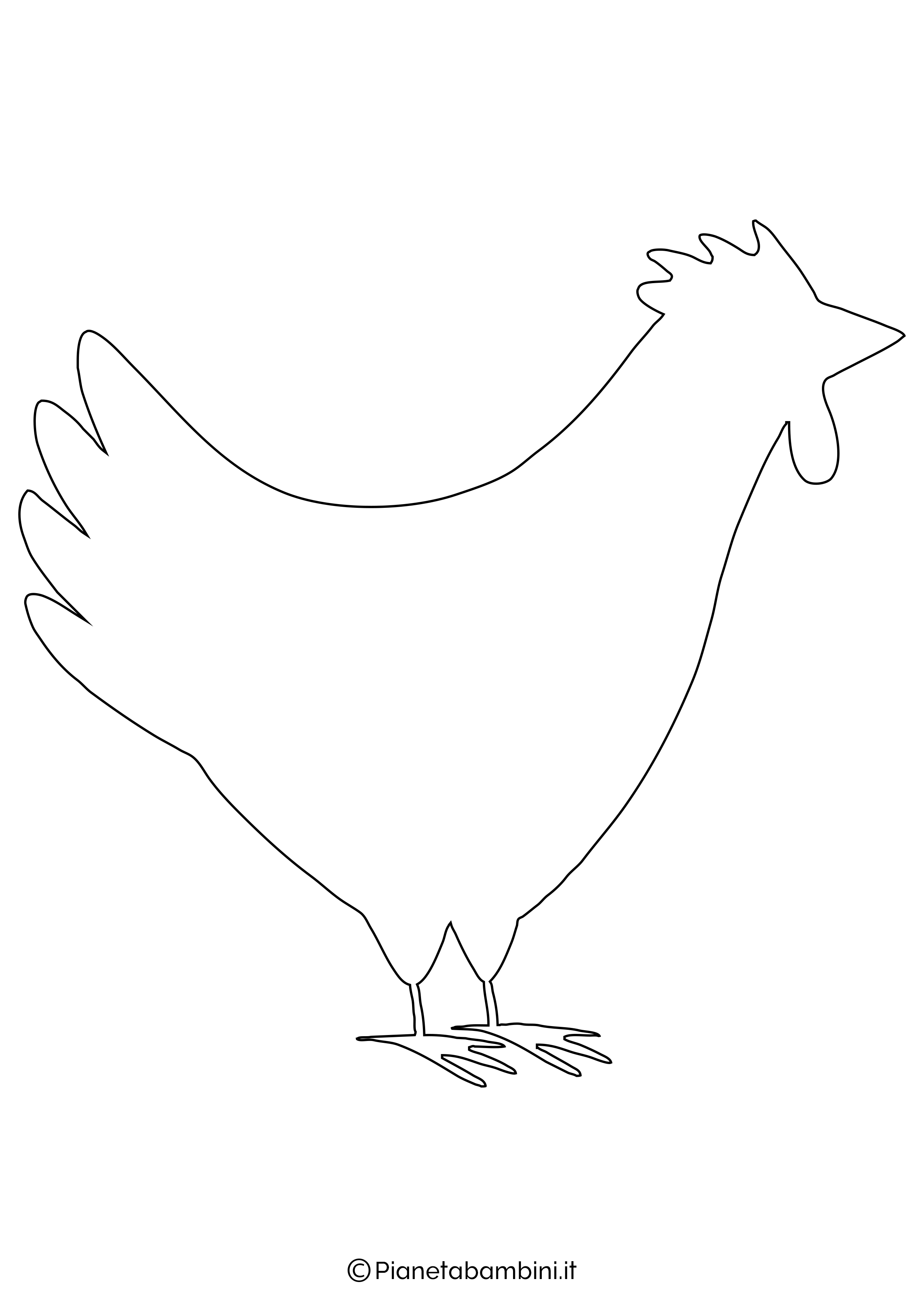 Disegno gallina 3