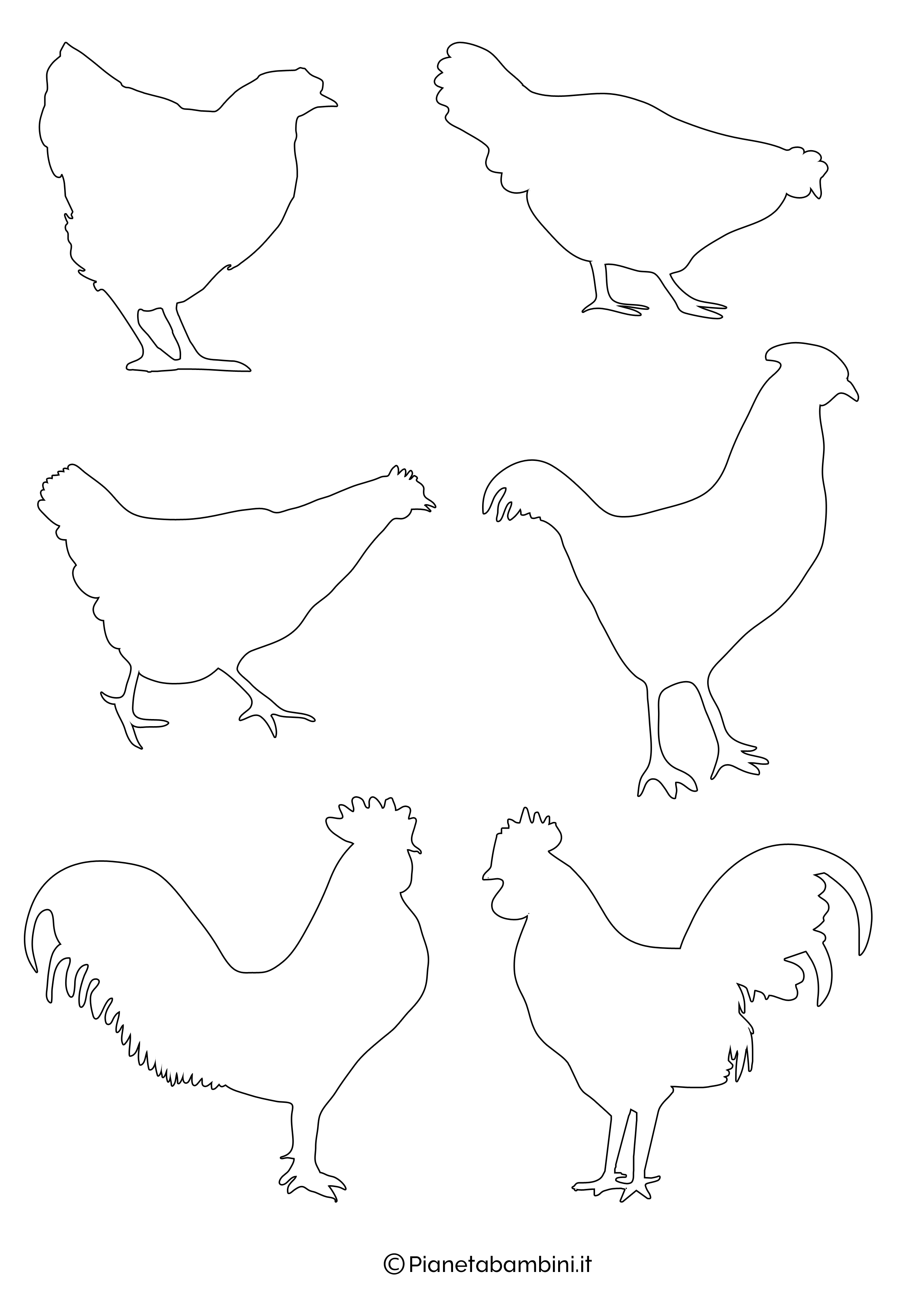 Disegni galline e galli piccoli