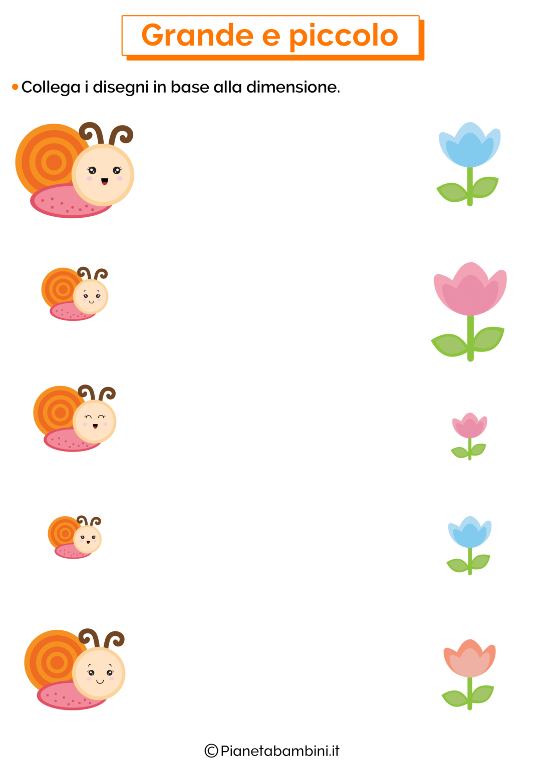 Confrontare le Dimensioni Schede Didattiche per Bambini