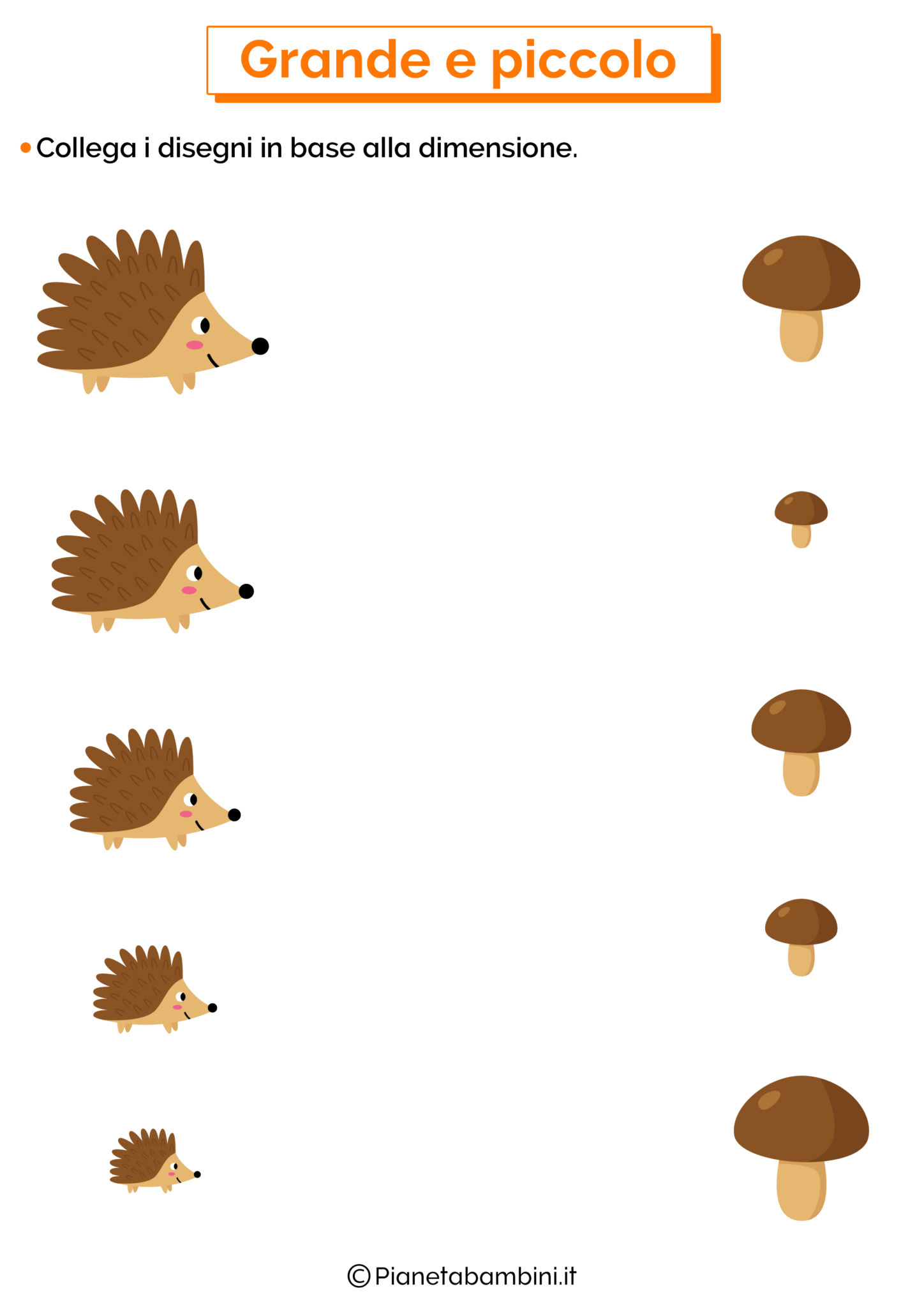 Confrontare le Dimensioni Schede Didattiche per Bambini