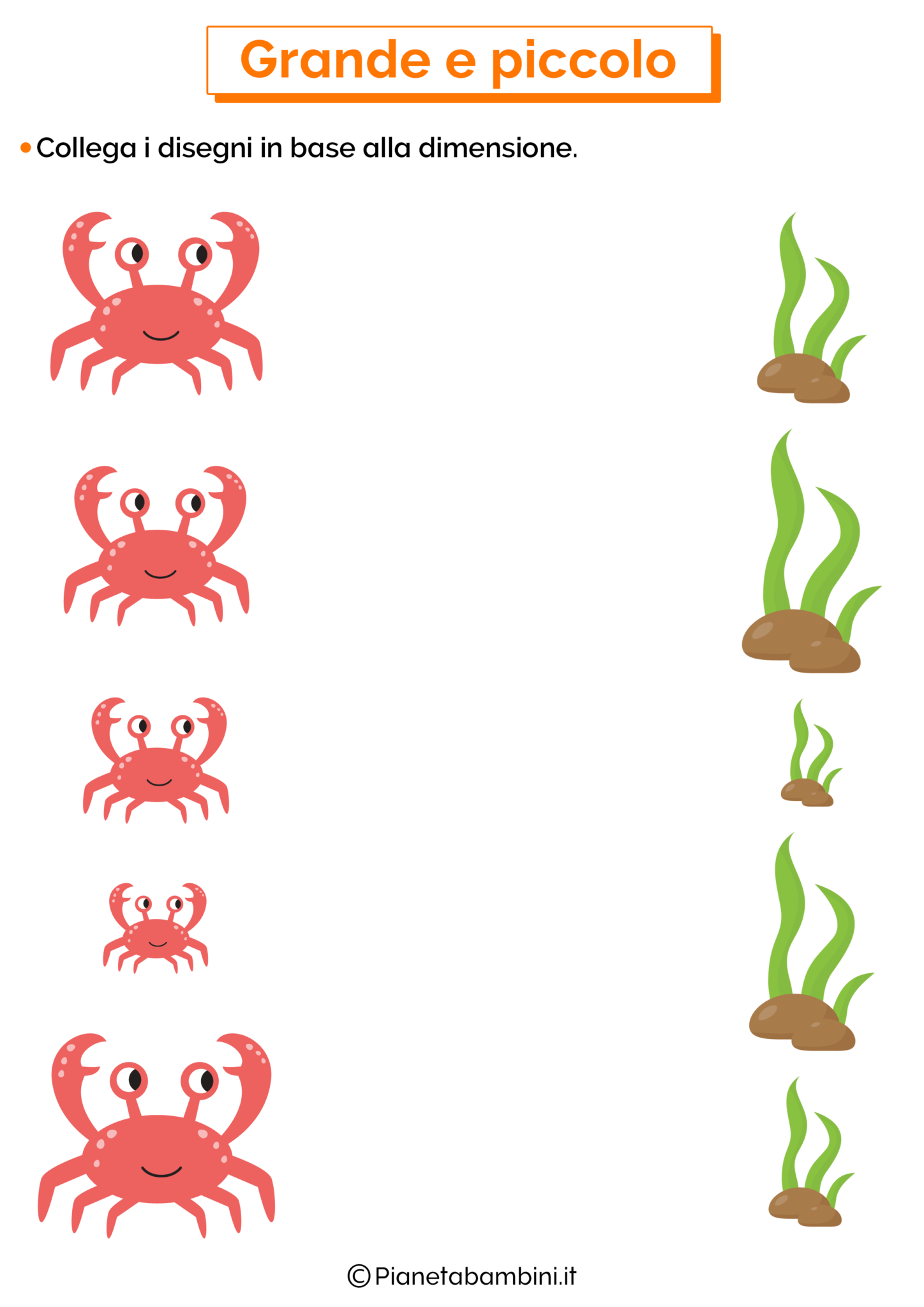 Confrontare le Dimensioni Schede Didattiche per Bambini