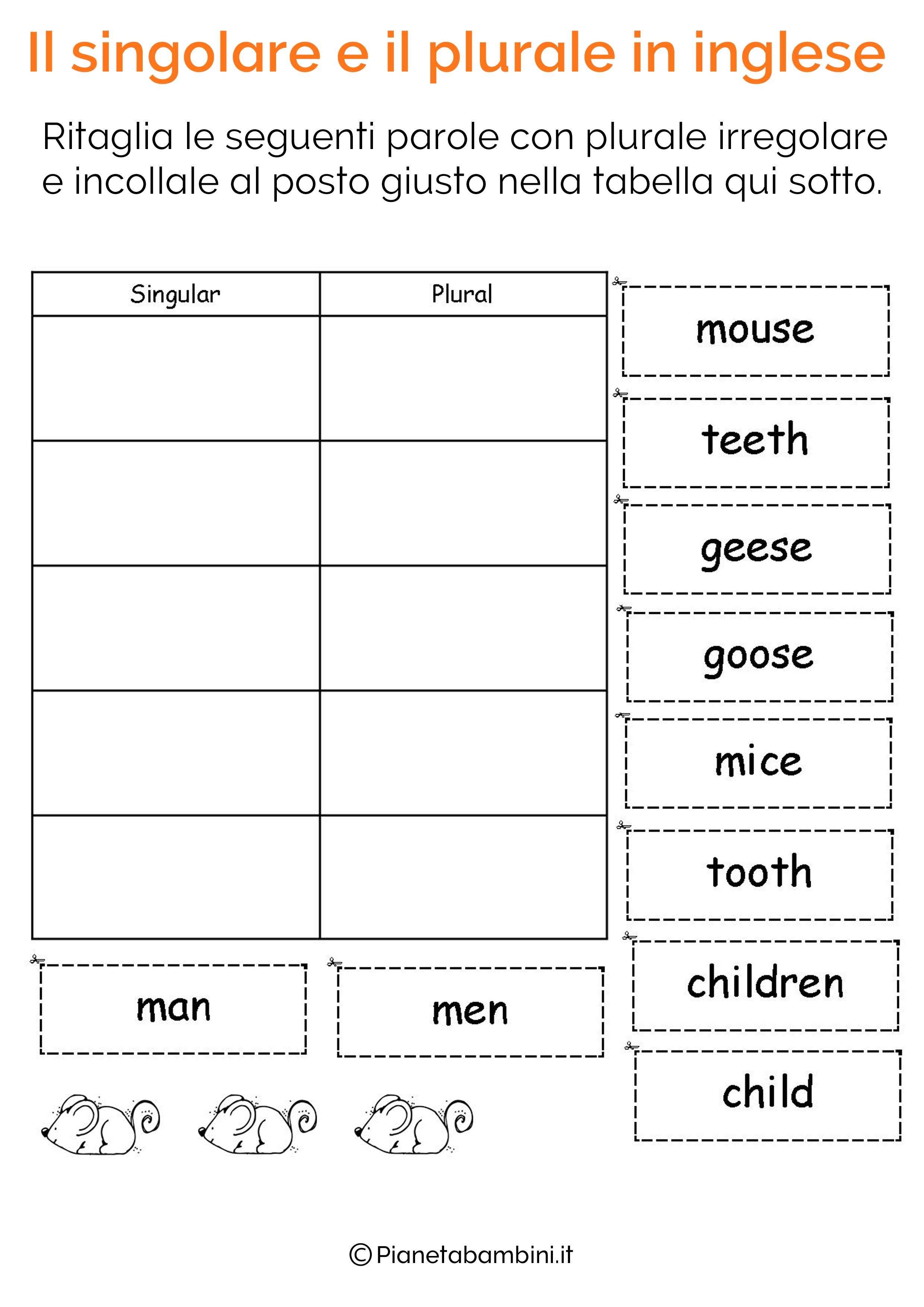 Esercizi sul singolare e plurale in inglese pagina 15