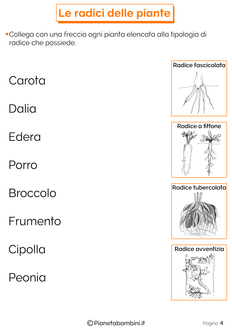Kit Di Innesto Per Piante Con 12 Sfere Di Radicazione - Facile E Veloce Per Talee - Foto 4