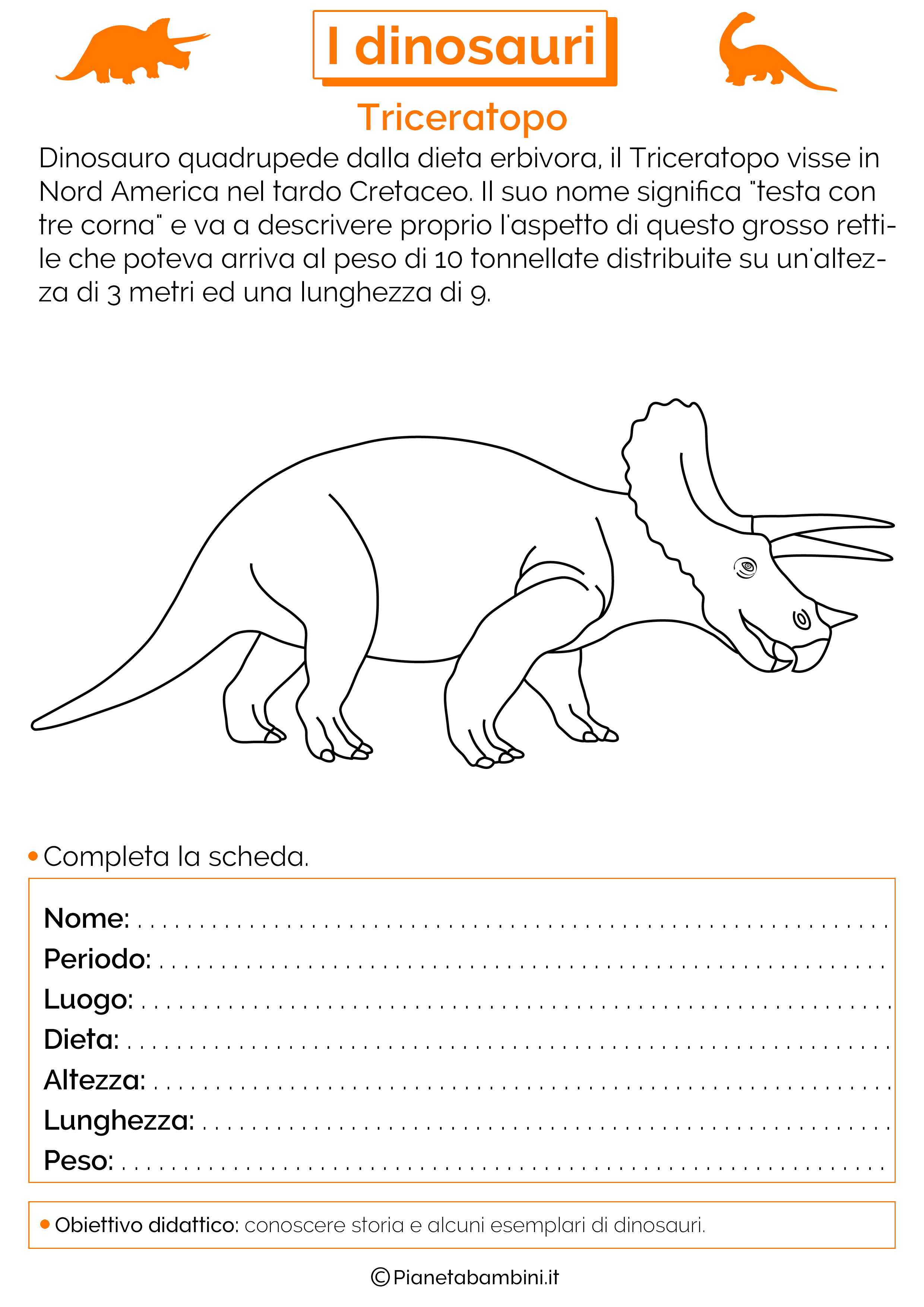 Esercizi sui dinosauri 11