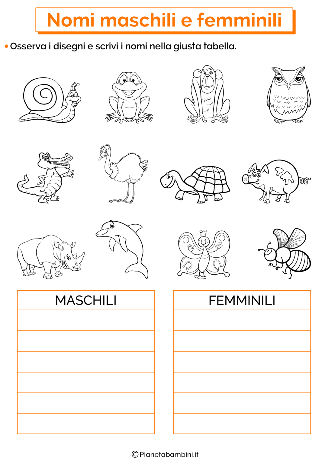 Il Genere Maschile e Femminile Esercizi per la Scuola Primaria Il Genere Maschile e Femminile Esercizi per la Scuola Primaria