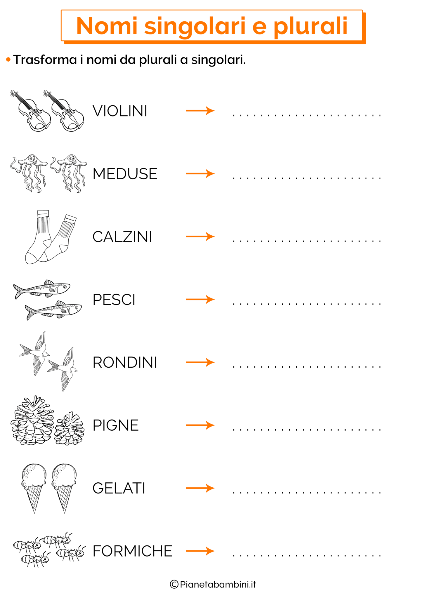 I Nomi Singolari e Plurali Esercizi per la Scuola Primaria