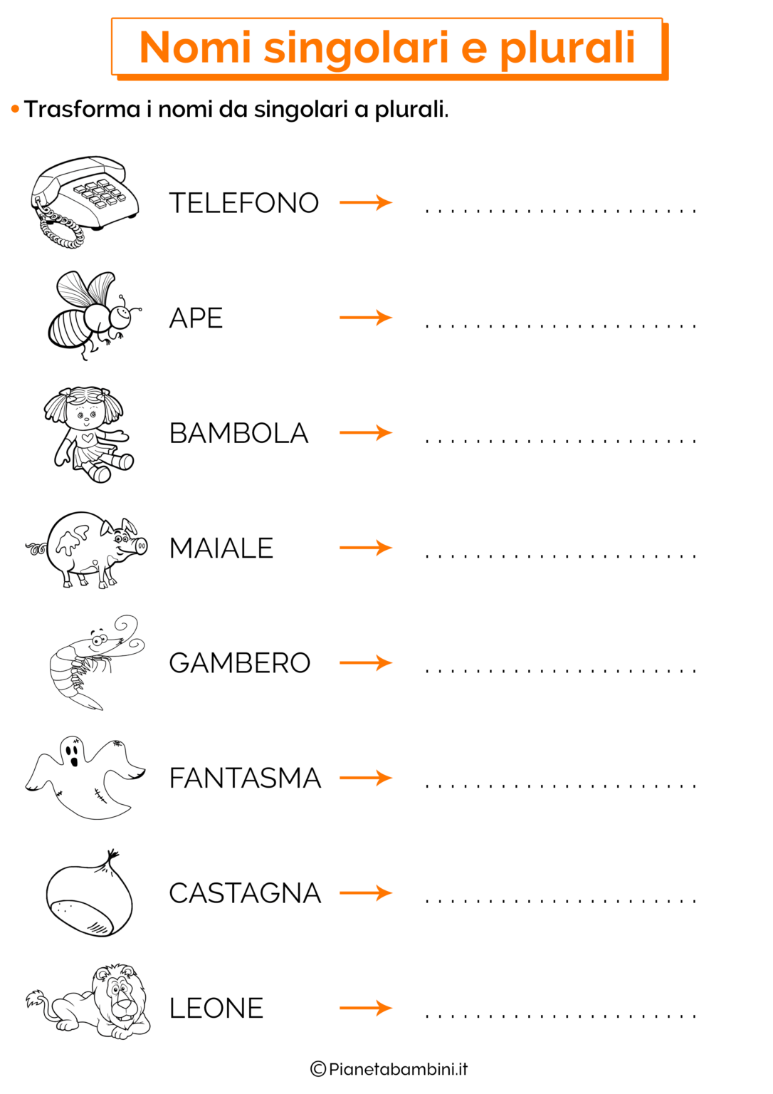 I Nomi Singolari e Plurali Esercizi per la Scuola Primaria