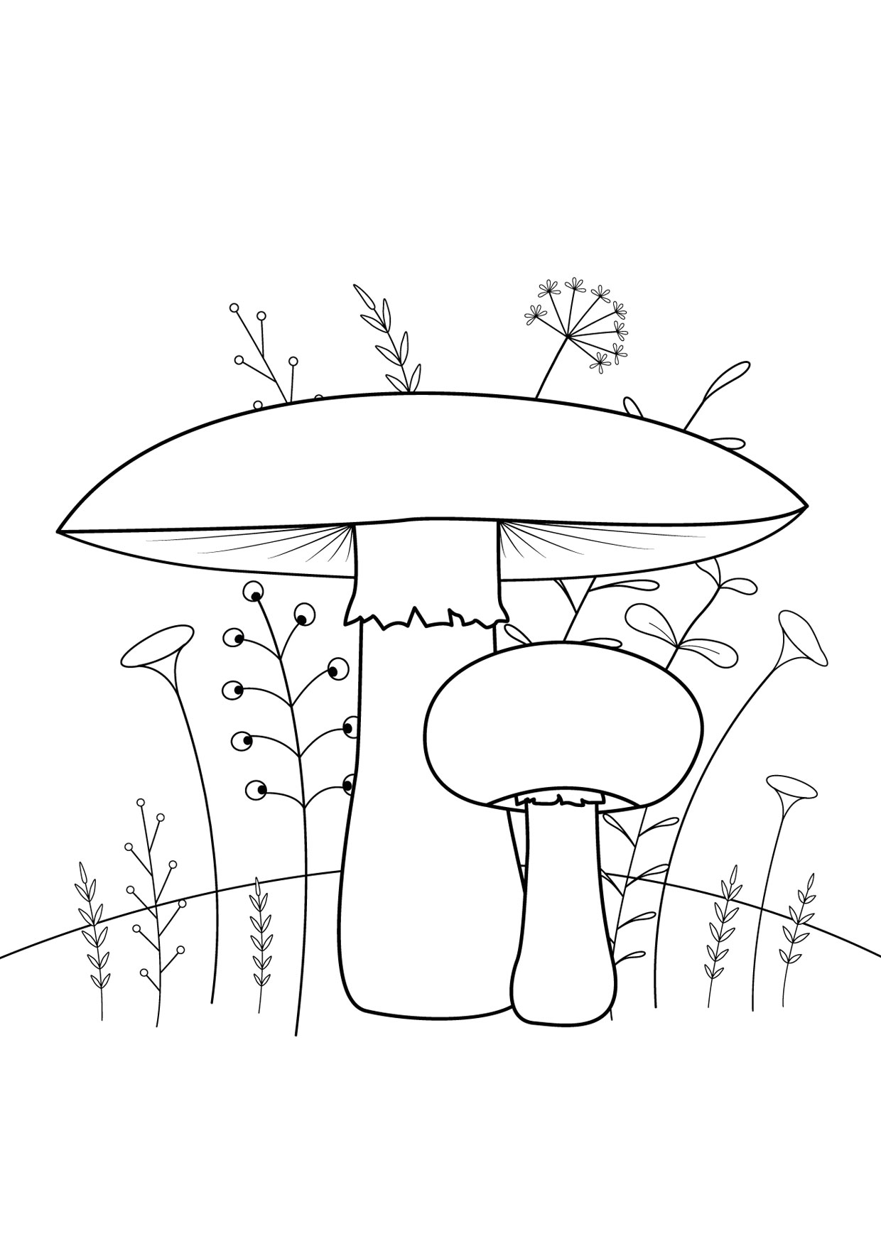 Disegno di funghi da colorare 07