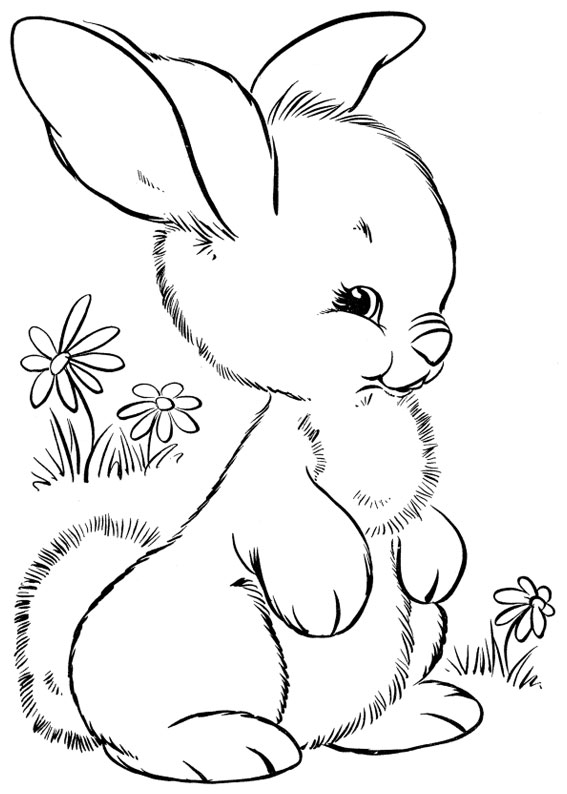 Disegni di conigli cartoon da colorare 02