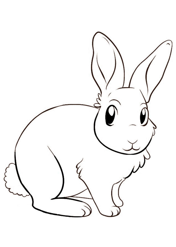 Disegno di coniglio da colorare 05