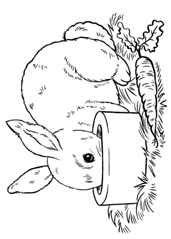 Disegno di coniglio da colorare 08