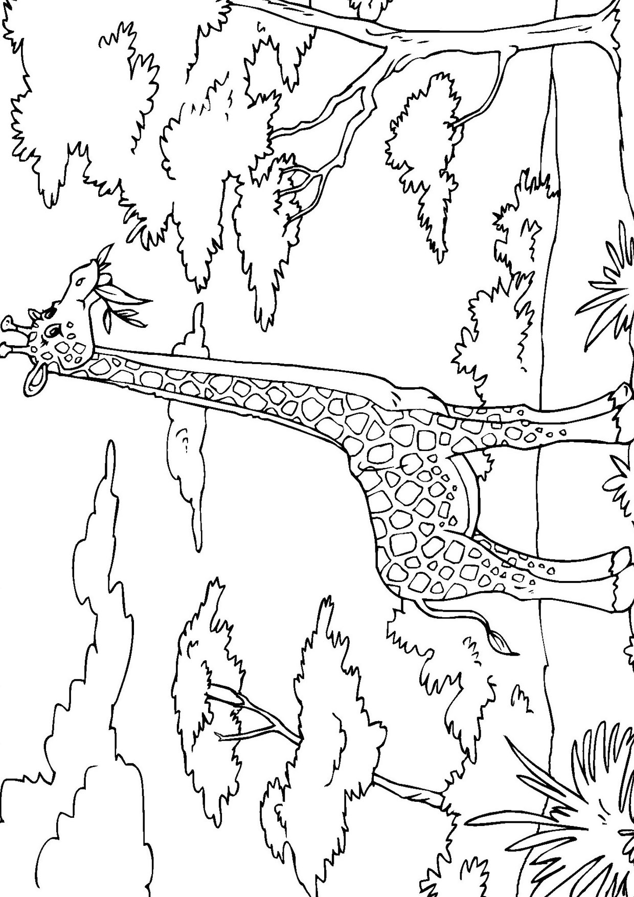 Giraffa in versione cartoon 03