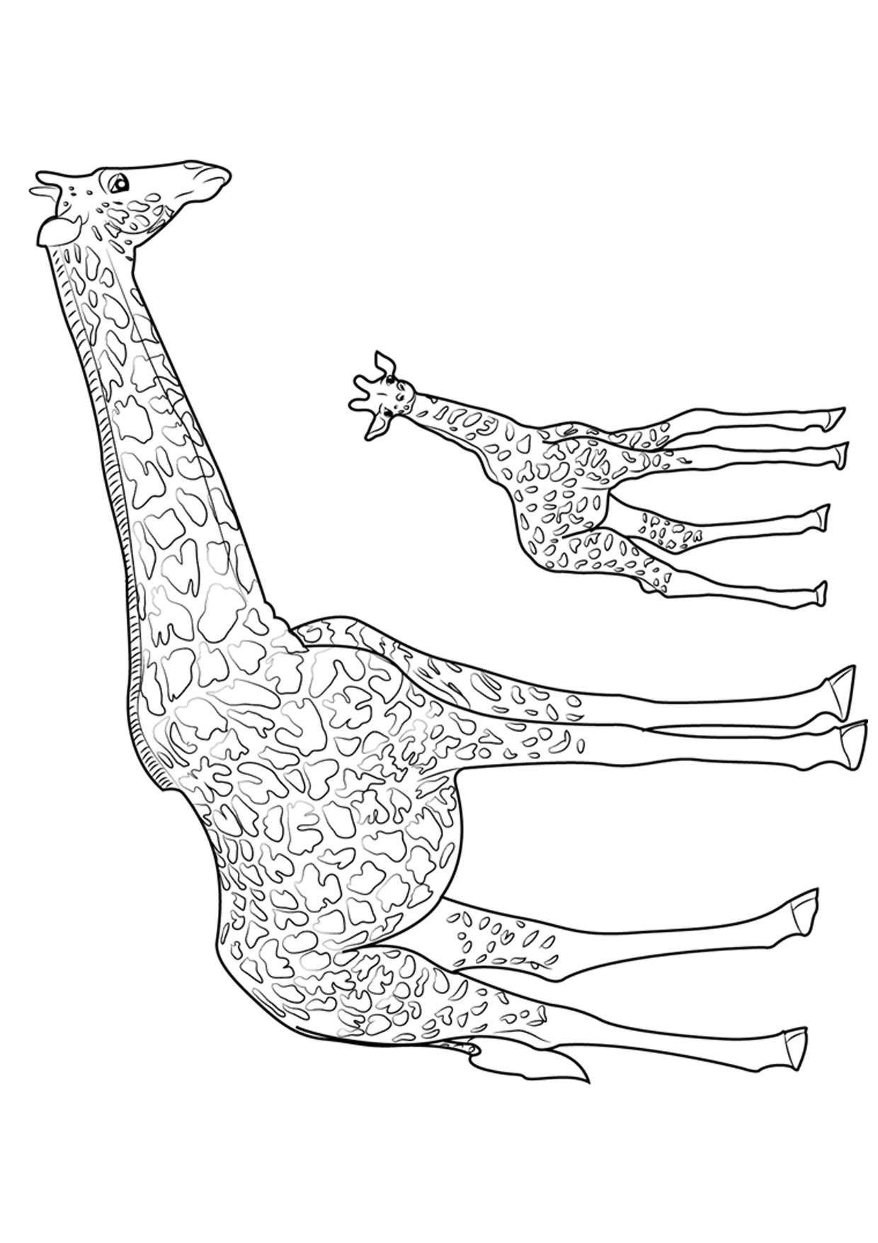 Disegno di giraffa 12