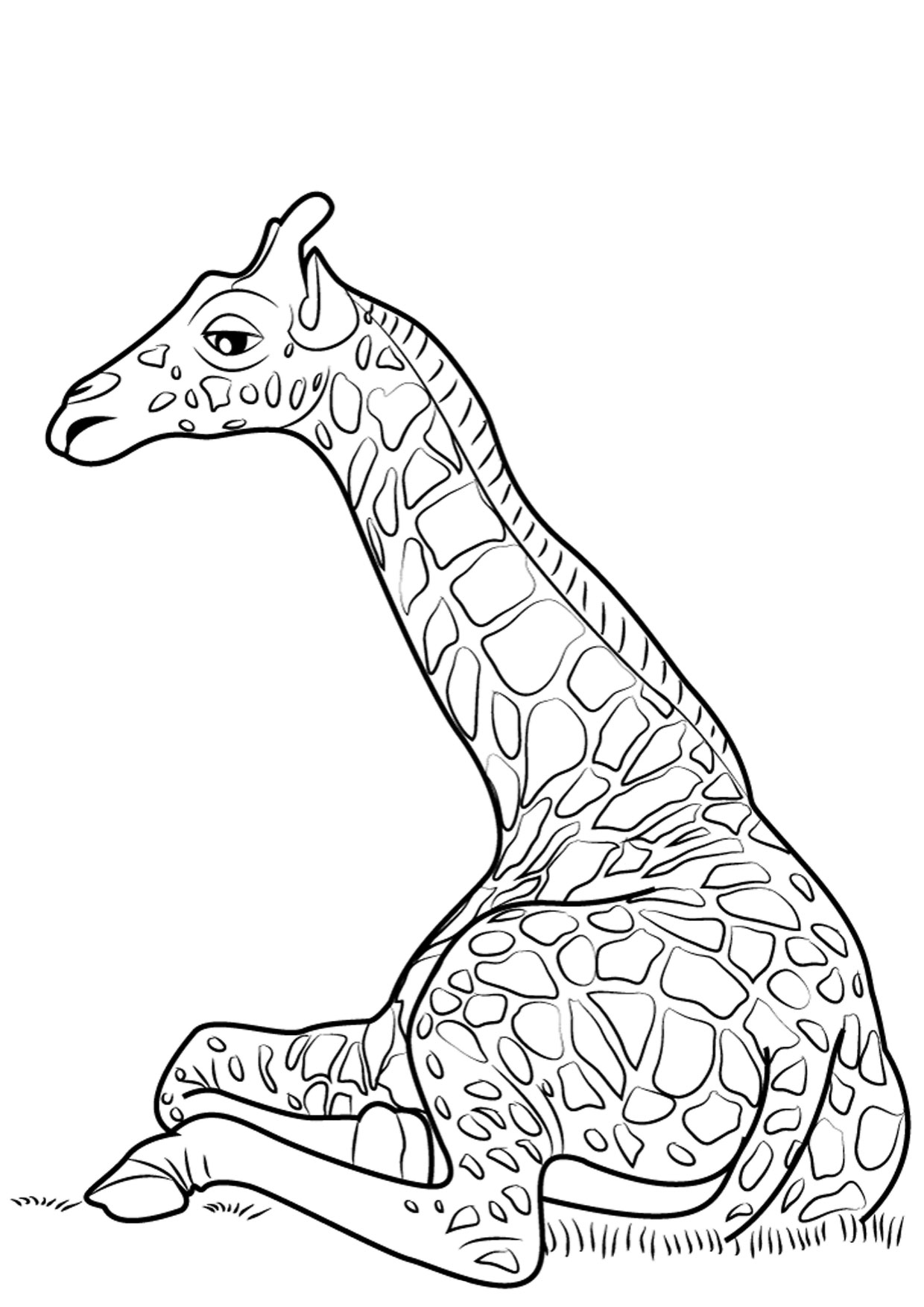 Disegno di giraffa 14