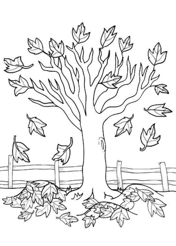 12 Disegni Di Alberi Autunnali Da Colorare Pianetabambini It