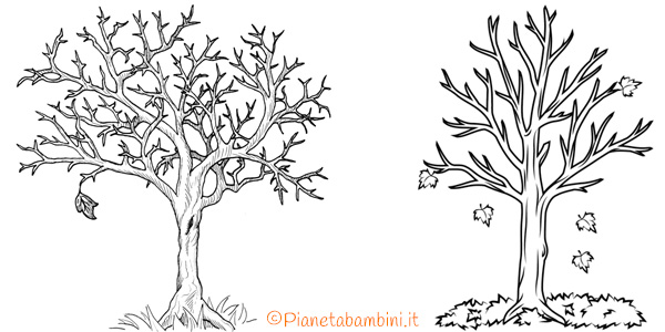 Disegni di alberi autunnali da colorare pronti da stampare gratis