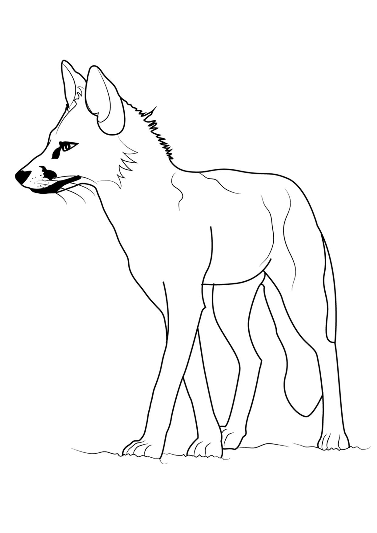 Disegni Animali Da Colorare On Line