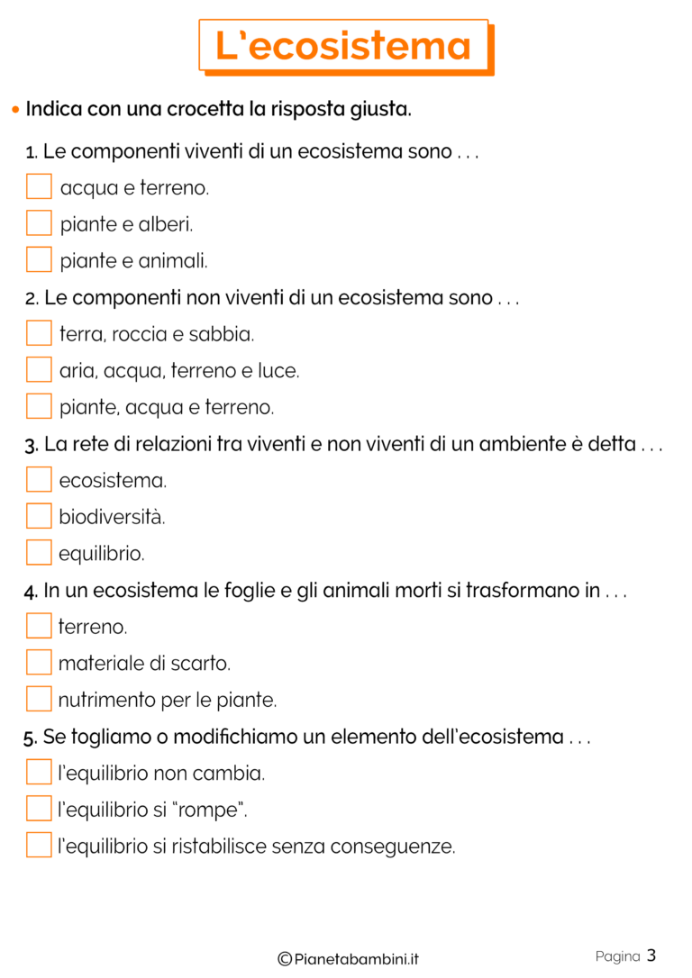 L'Ecosistema: Schede Didattiche per la Scuola Primaria | PianetaBambini.it