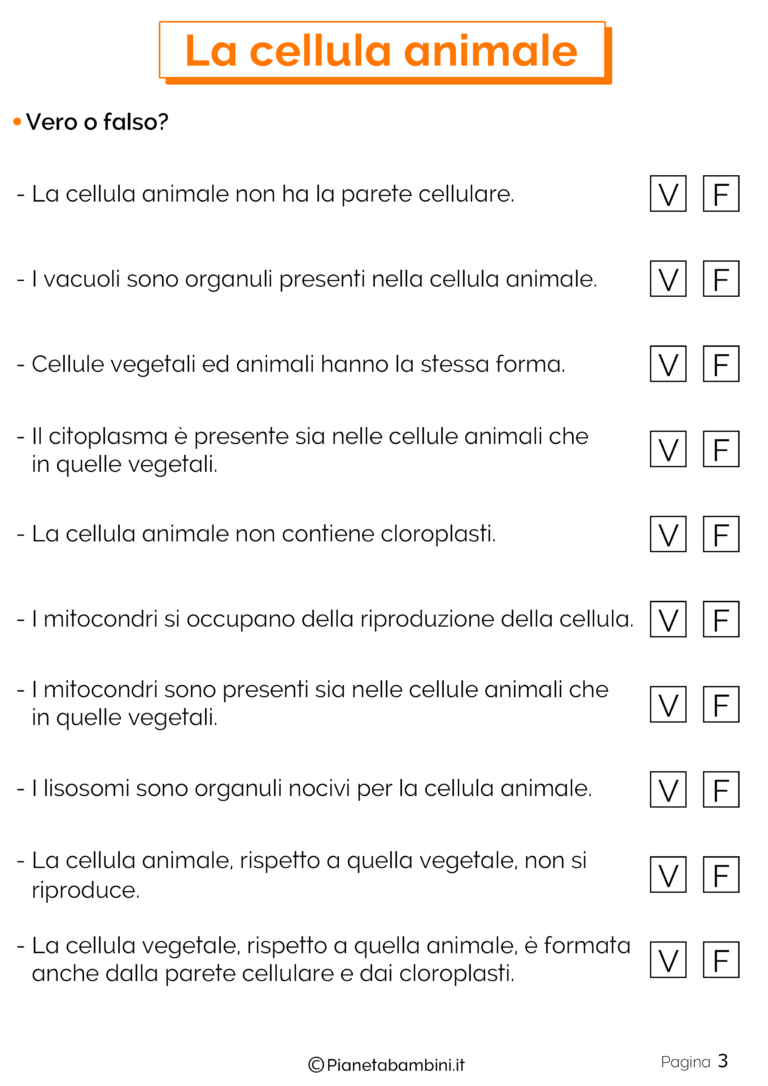 Scienze Schede Didattiche Sugli Animali La Cellula Animale: Schede Didattiche per la Scuola Primaria