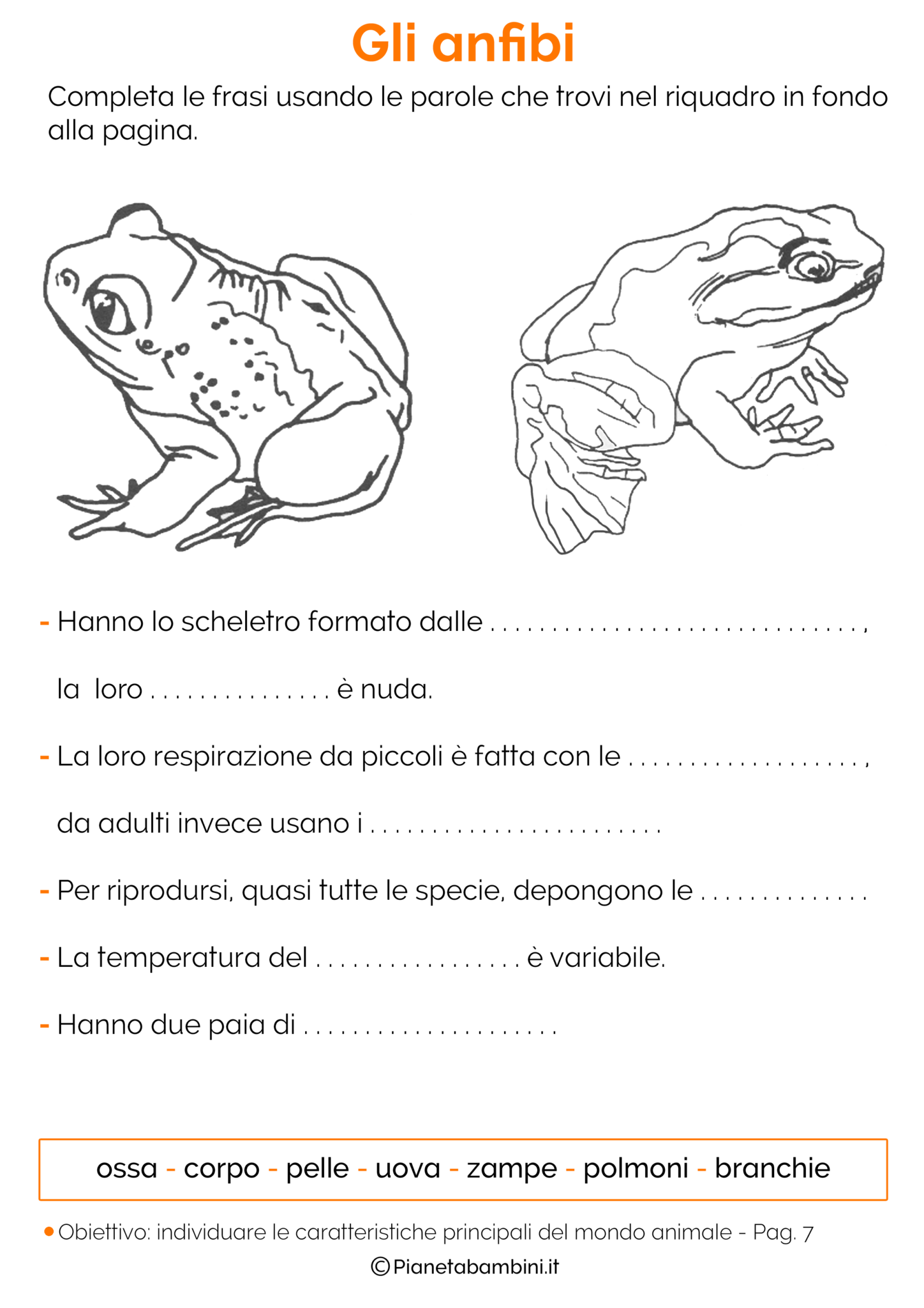 Schede Didattiche sugli Animali per la Scuola Primaria | PianetaBambini.it