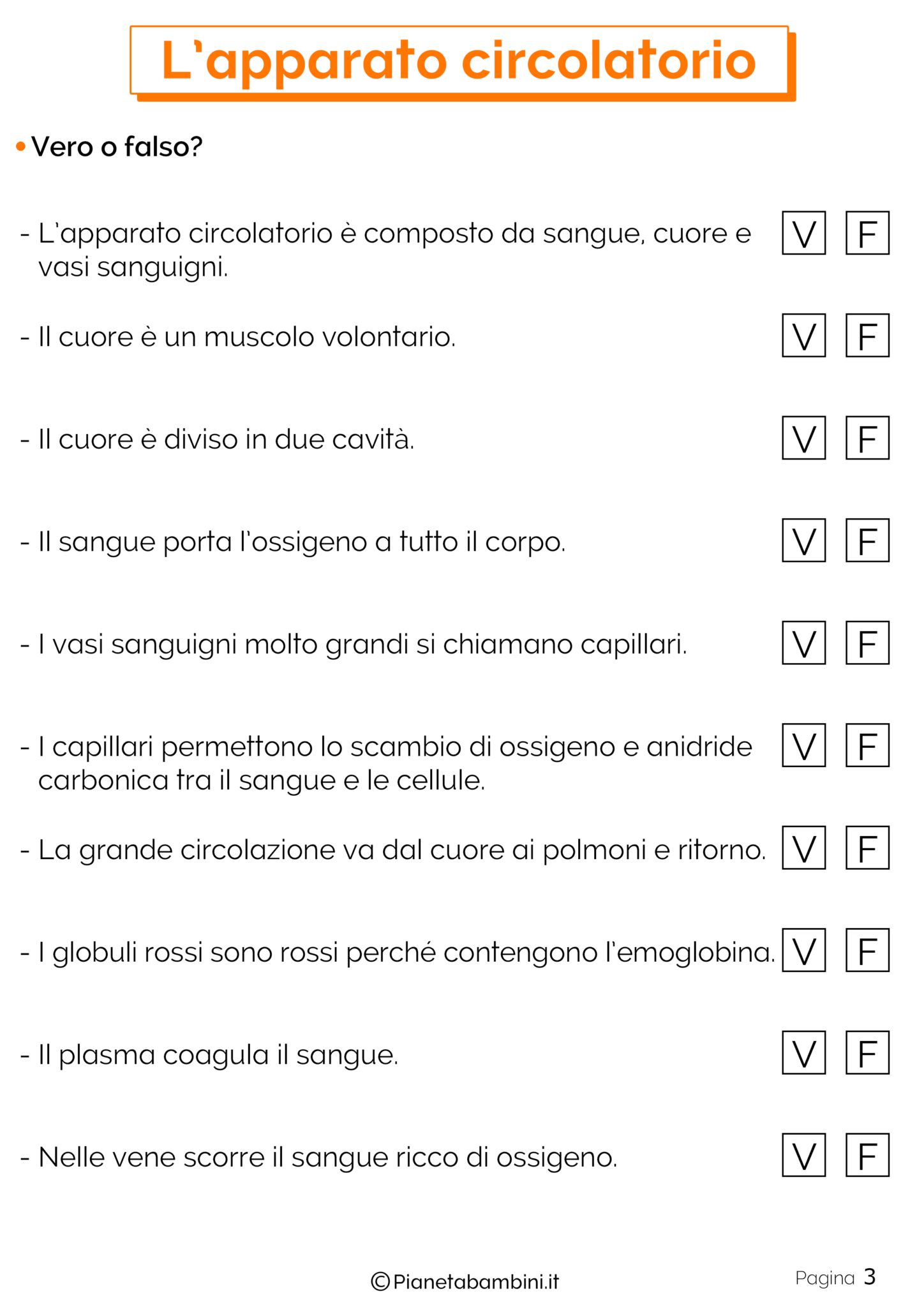 L’Apparato Circolatorio: Schede Didattiche per la Scuola Primaria