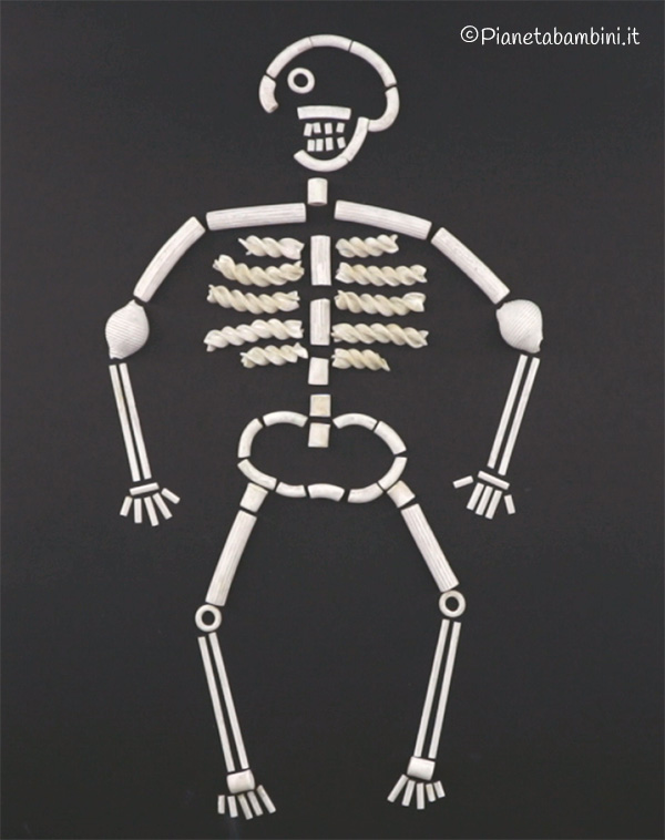 Immagine dello scheletro con pasta cruda
