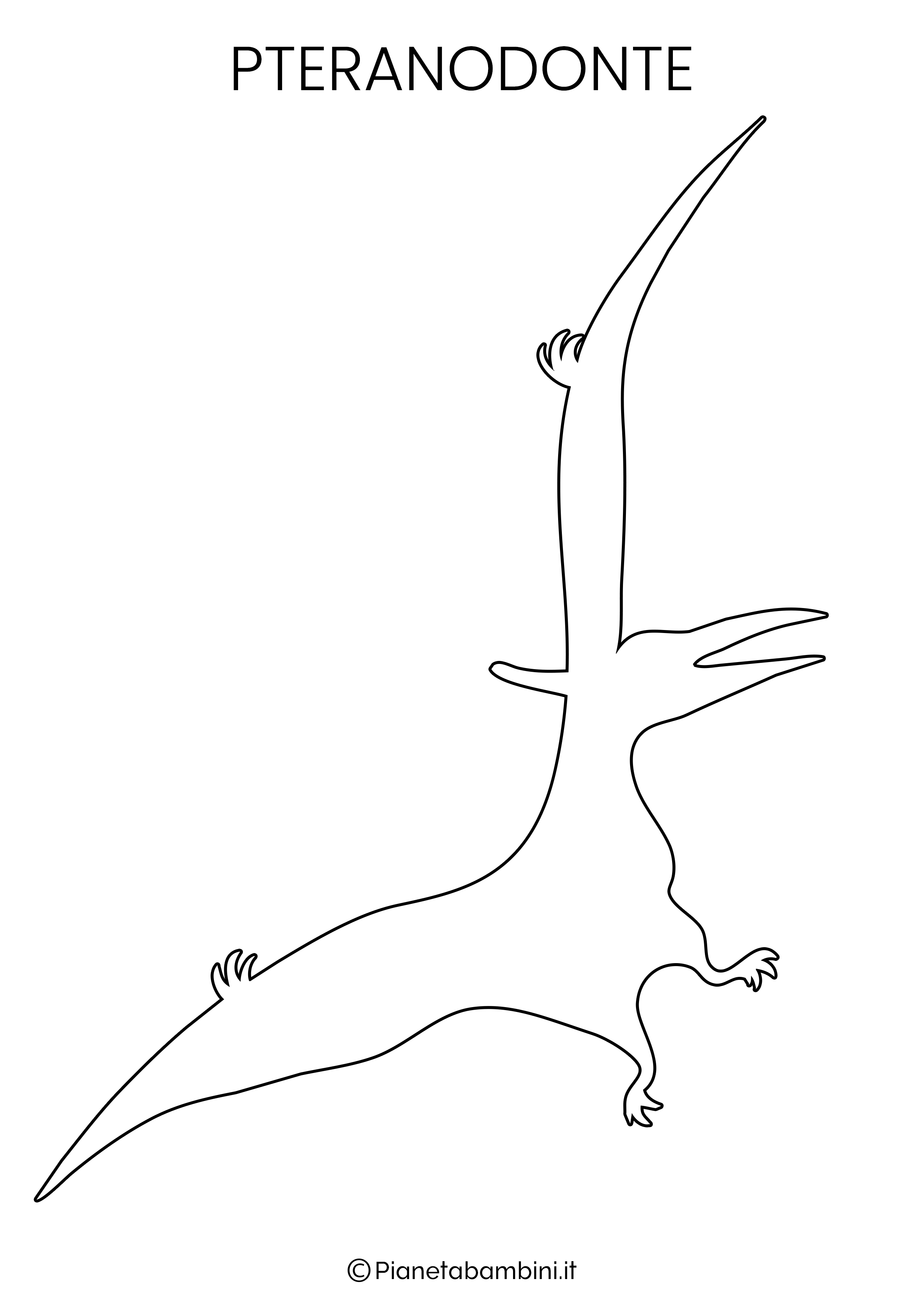 Sagoma da ritagliare Pteranodonte