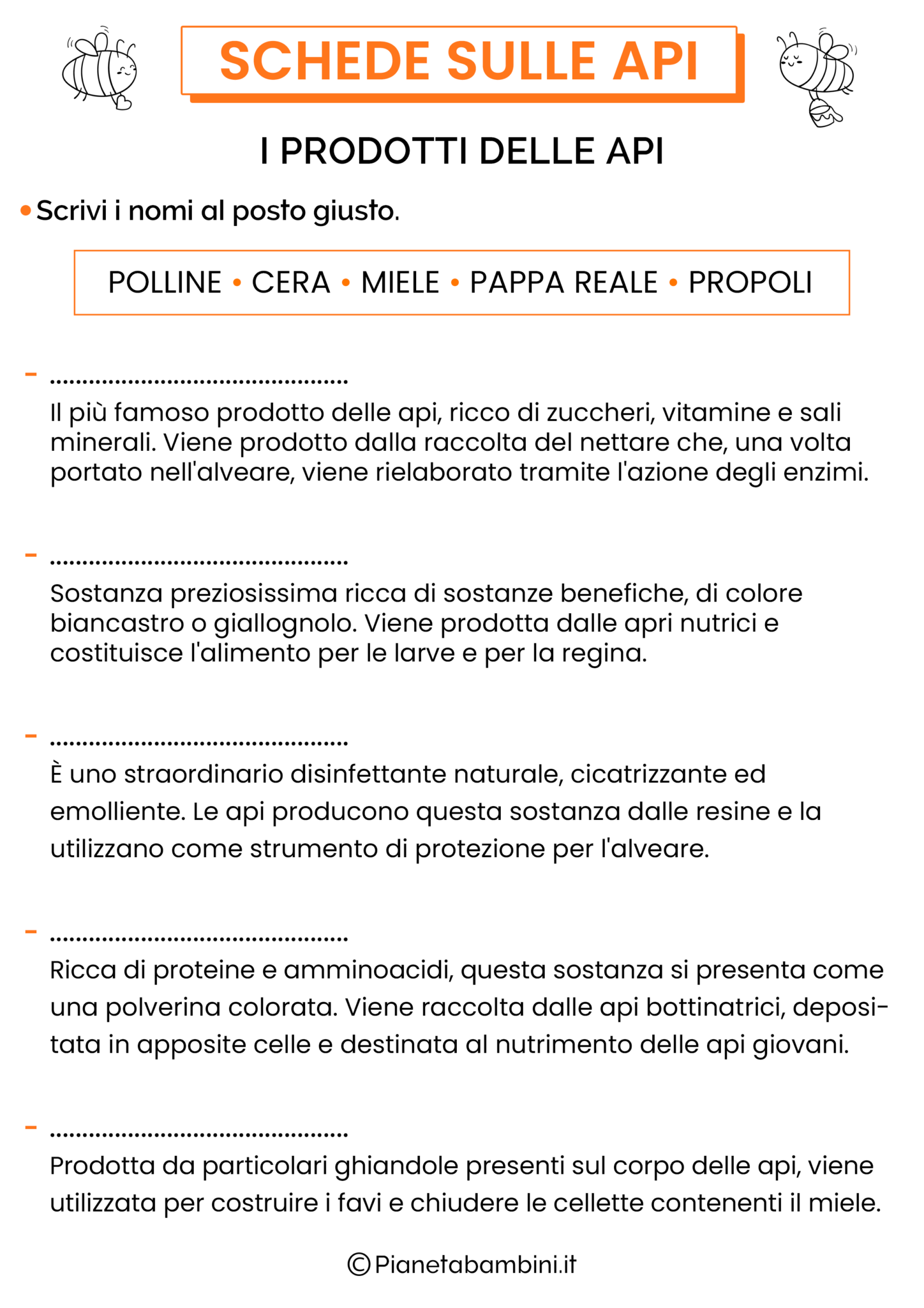 Schede Didattiche sulle Api per la Scuola Primaria