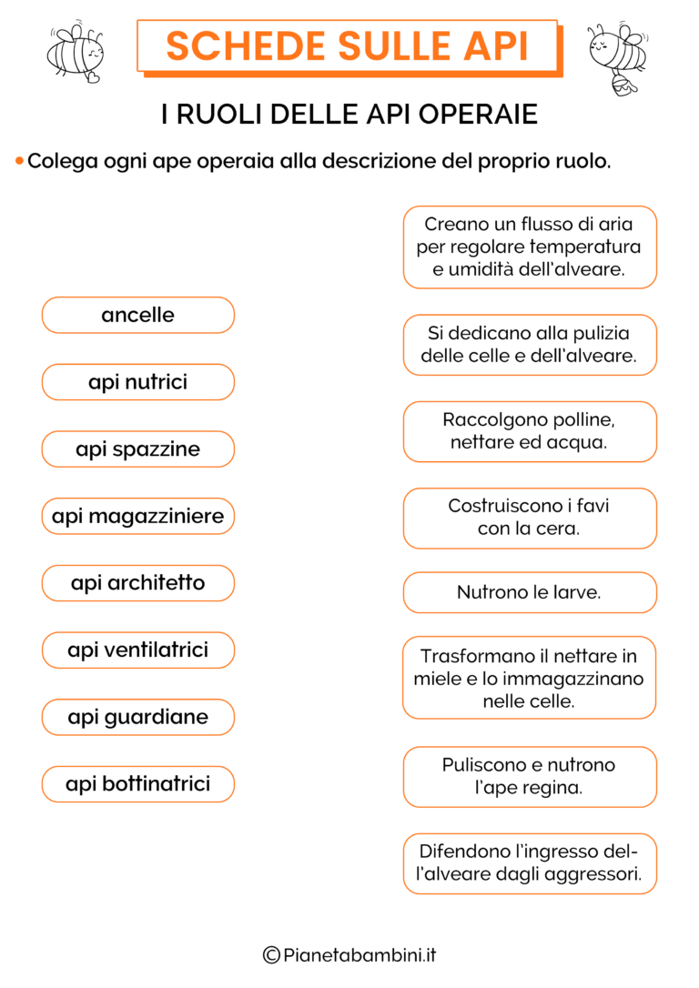 Schede Didattiche sulle Api per la Scuola Primaria