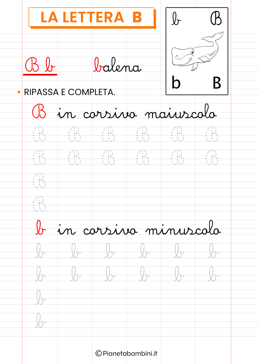 Schede Sulla Lettera B Per La Classe Prima | PianetaBambini.it