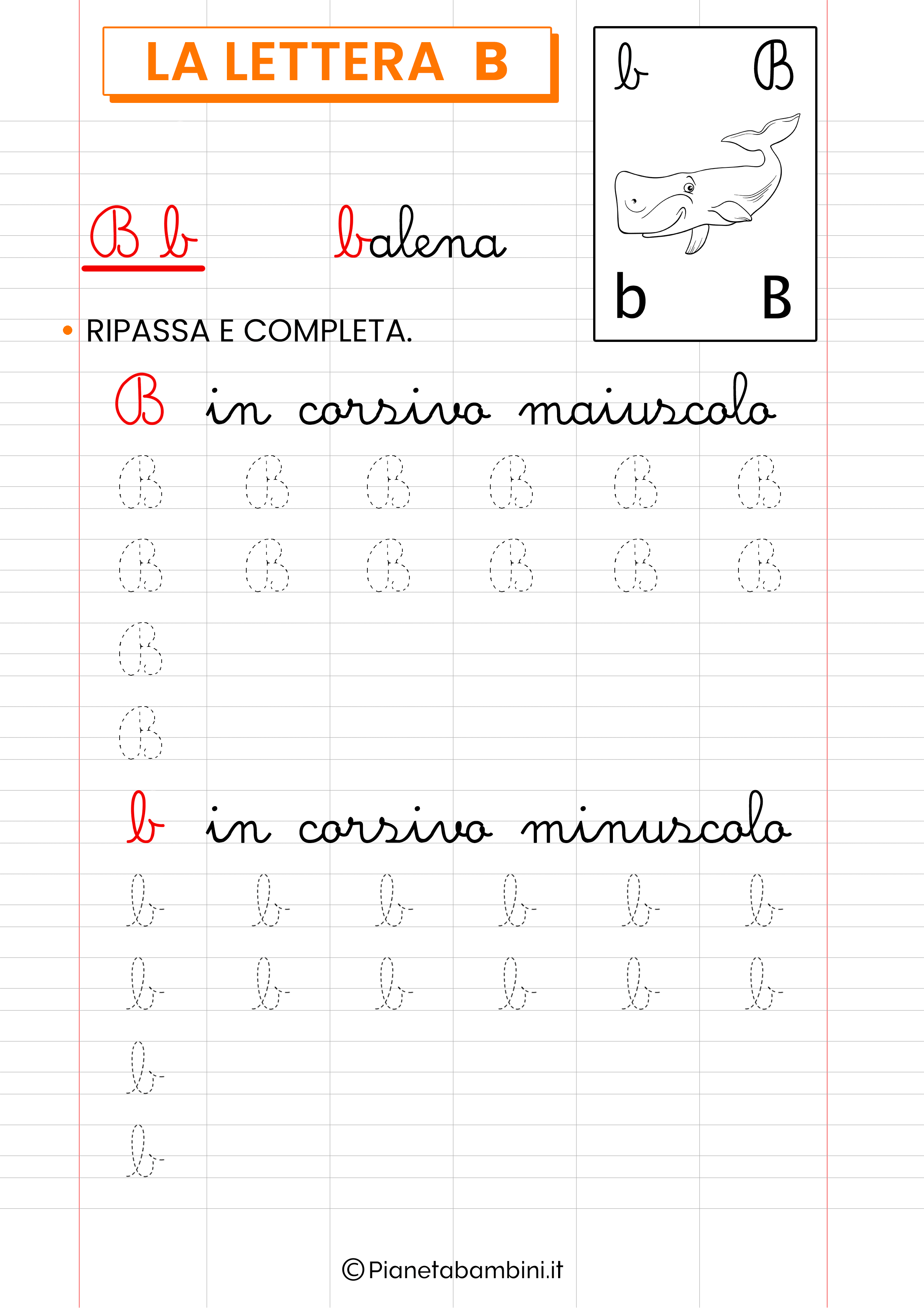 Scheda didattica lettera B corsivo da stampare 1