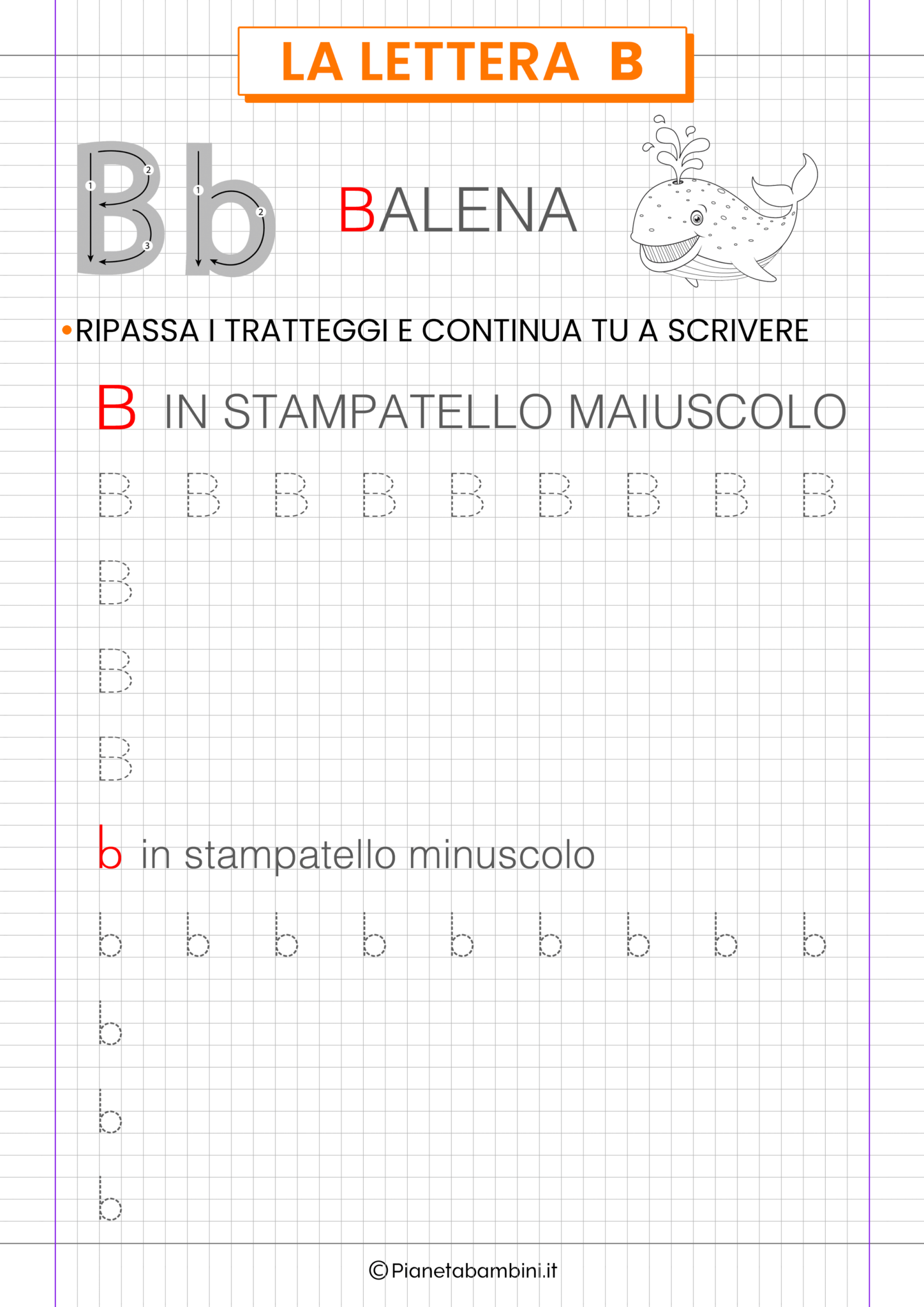 Schede Sulla Lettera B Per La Classe Prima | PianetaBambini.it