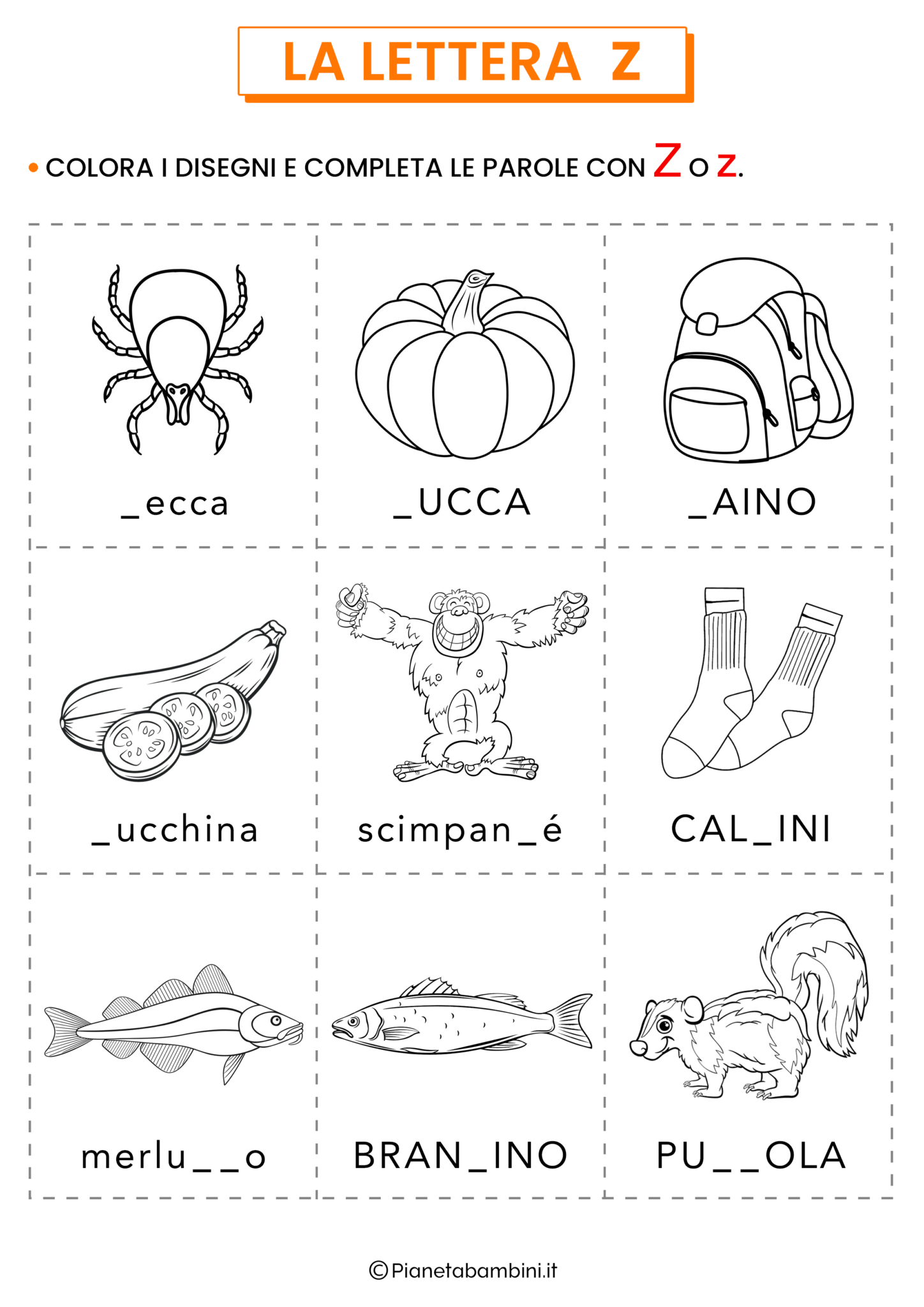 Schede sulla Lettera Z per la Classe Prima