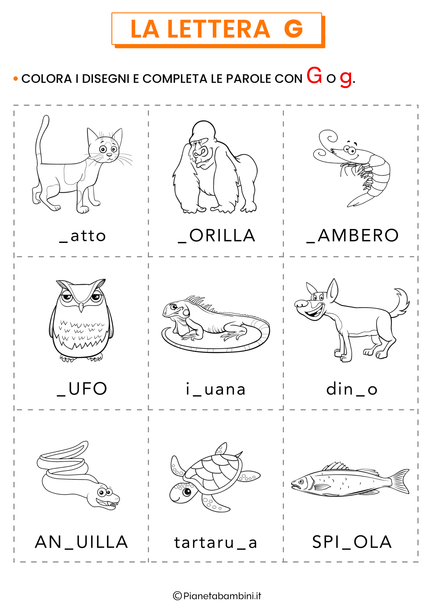 Schede sulla Lettera G per la Classe Prima